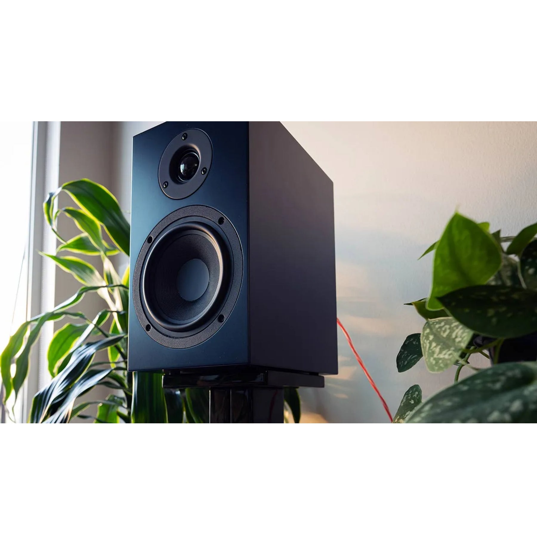 Pro Ject SpeakerBox 5 S2 - High-Fidelity Bluetooth Speaker with Premium Sound for Home, Office & Outdoor Use | Perfect for Music Lovers, Parties & Travel