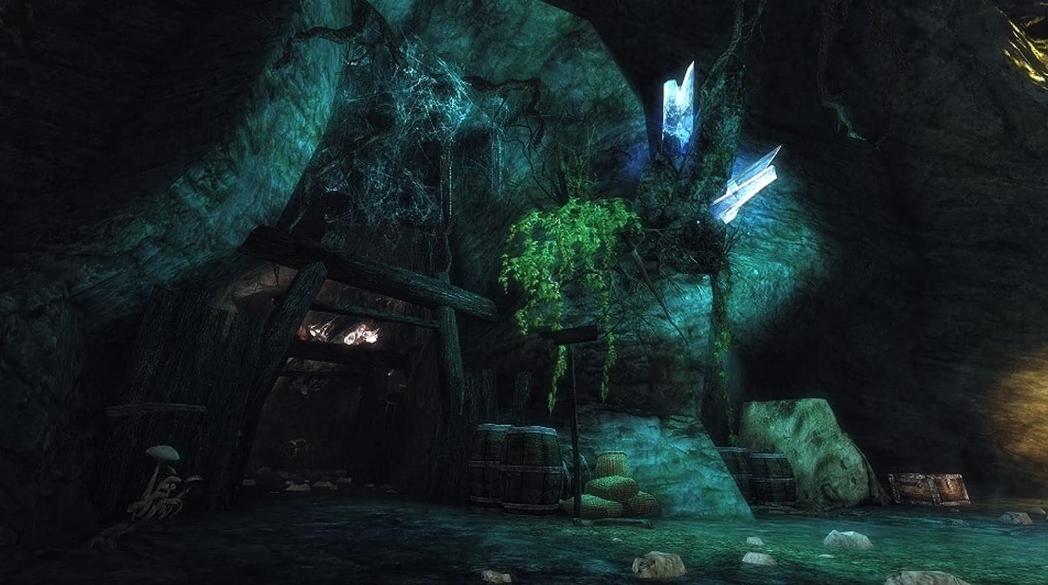 Risen - PlayStation 4 Game | Action RPG Adventure for PS4 | Perfect for Fantasy Gaming Enthusiasts