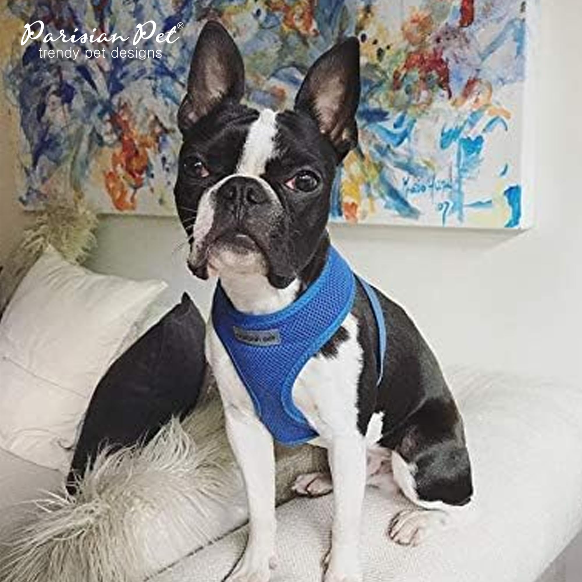 Parisian Pet Adjustable No-Pull Dog Harness - Soft Padded Bright Blue Small Dog Vest for Walking, Running & Hiking - Breathable Cooling Puppy Harness for Outdoor Adventures - Size S