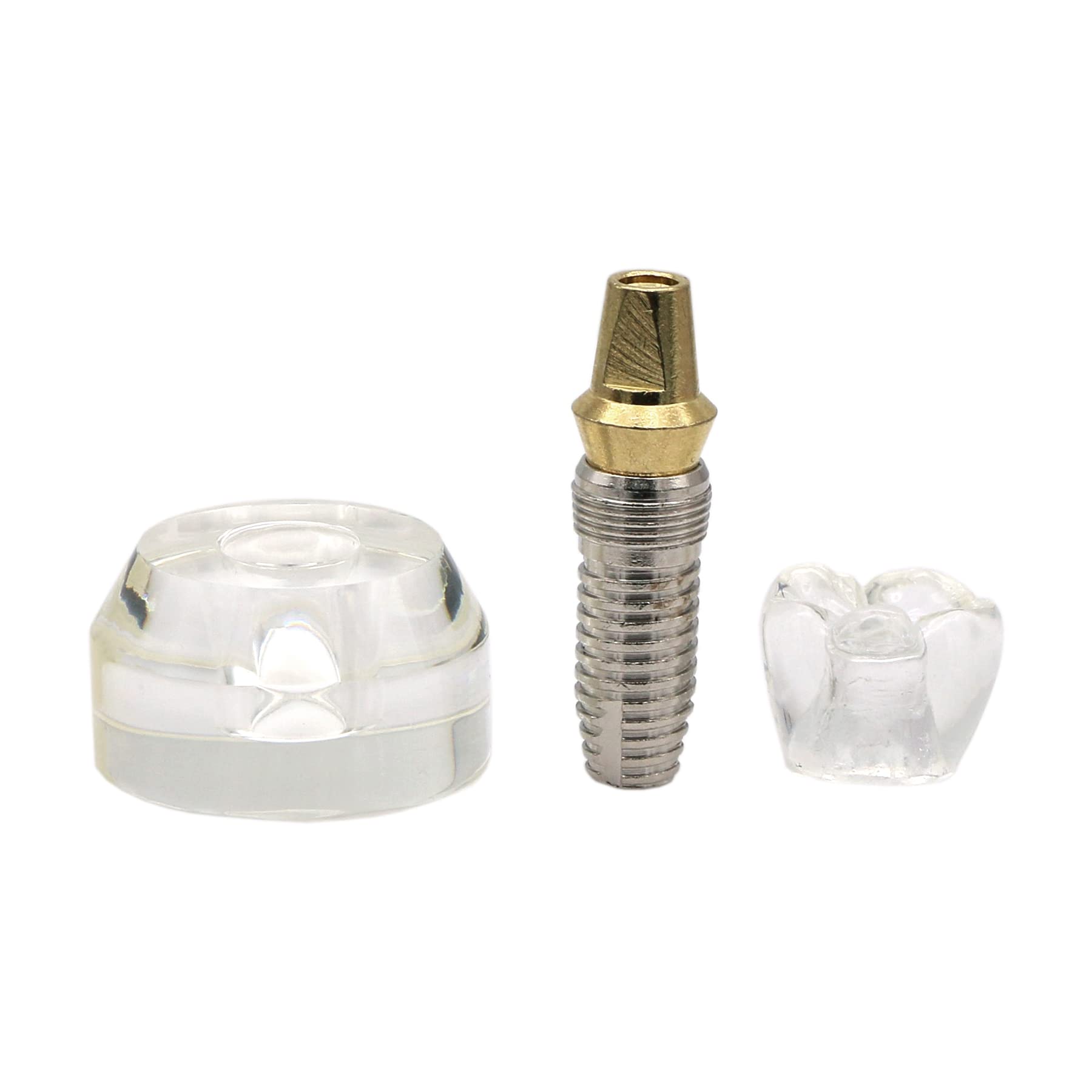 1 Pc Clear Dental Implant Model #2020-01 - Professional Teeth Study & Teaching Demonstration Tool for Dentists, Students & Dental Clinics | Perfect for Classroom Training, Patient Education & Implant Procedure Practice