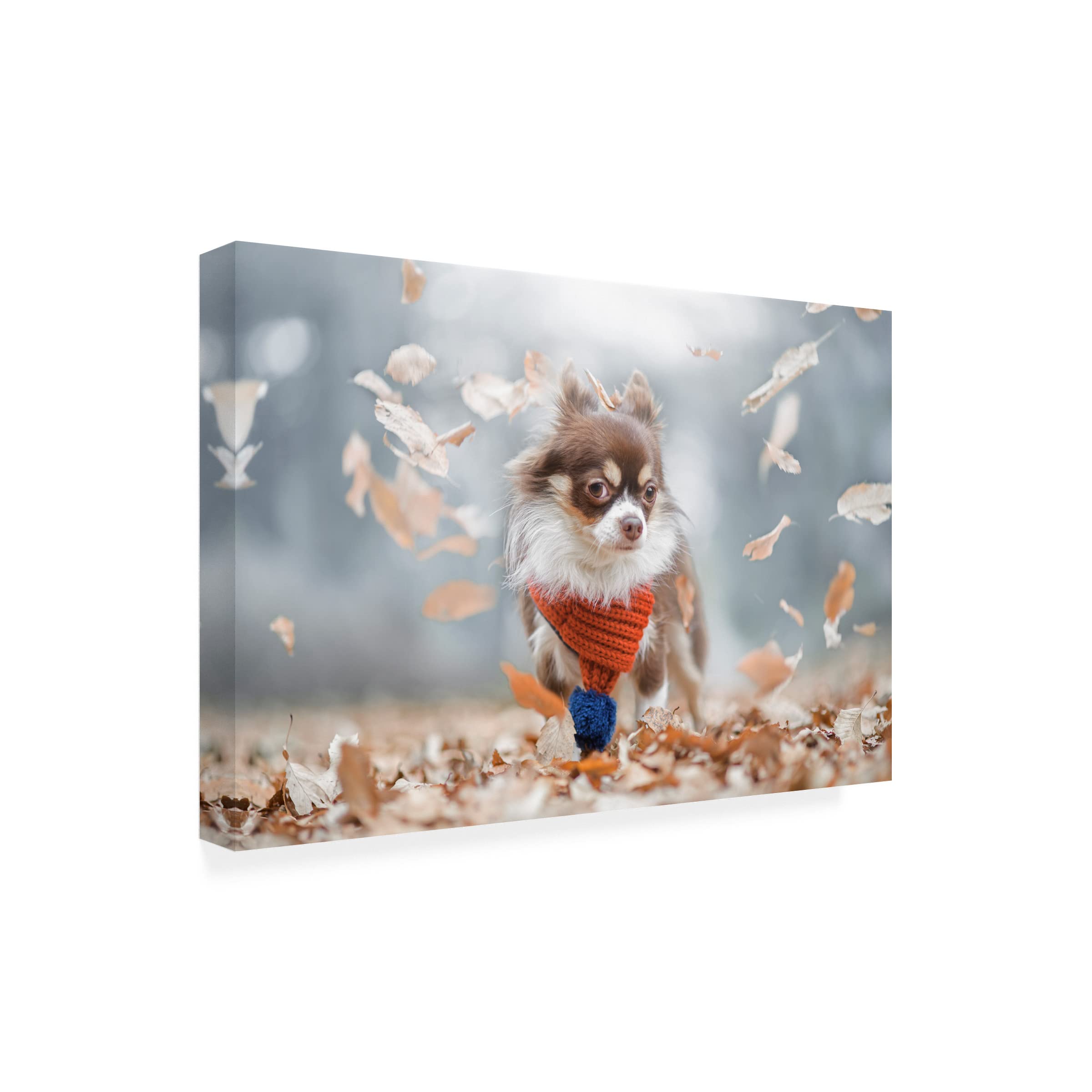 Takashi Suzuki 'Meme' Canvas Art Print - Modern Pop Culture Wall Decor for Living Room, Bedroom & Office | Trademark Fine Art Collection