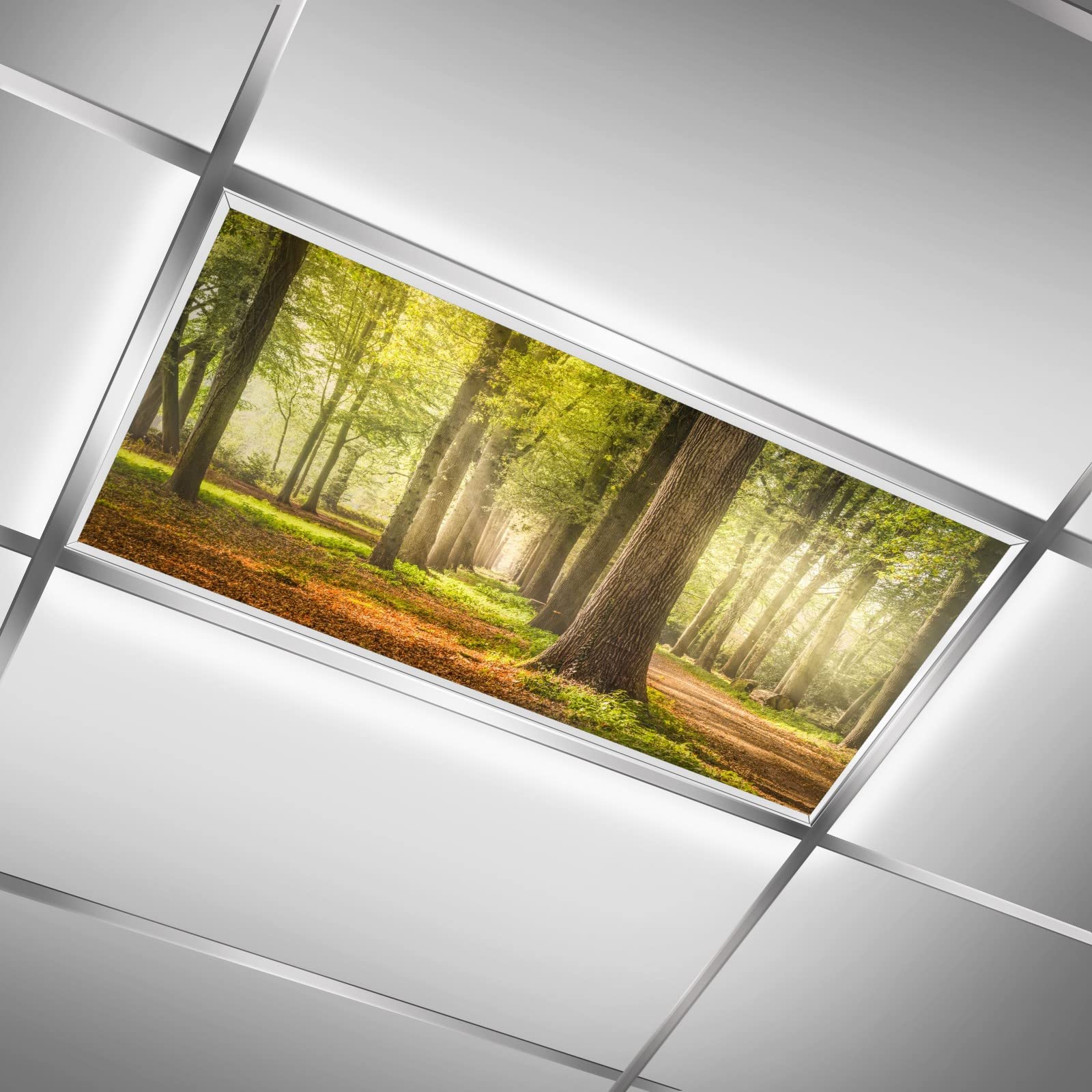 2x4 Flexible Decorative Light Diffuser Panels - Forest Trees Greenery Plants Nature Fluorescent Light Covers - Reduce Eye Strain & Headaches from Harsh Glare - Perfect for Office & Classroom Lighting
