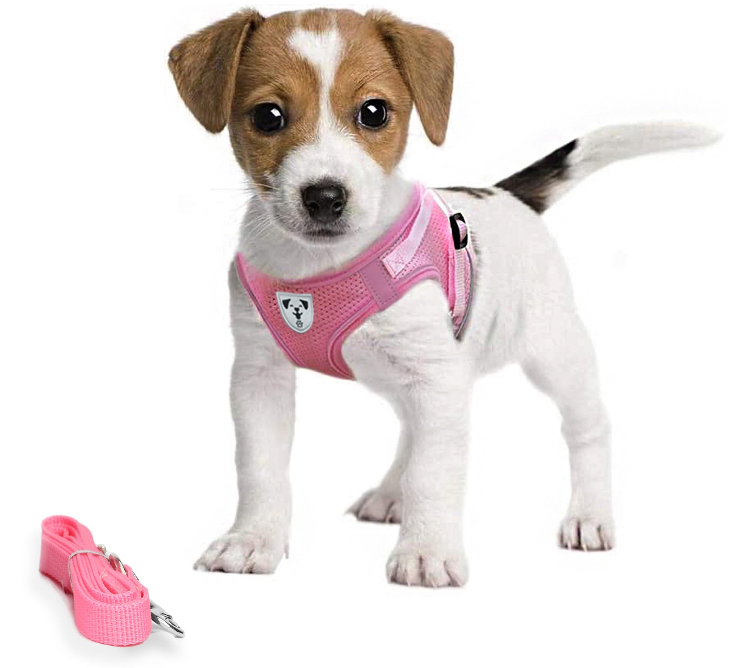 No Pull Small Dog Harness - Adjustable Puppy Harness for Tiny Breeds | Soft Pink Pet Vest | Perfect for Chihuahuas, Yorkies & Mini Poodles | Walking, Training & Outdoor Adventures