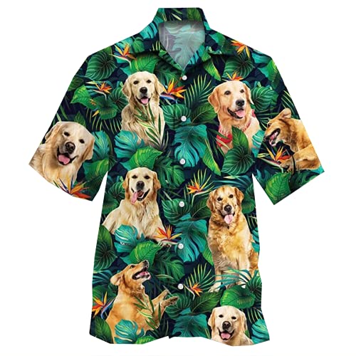 Golden Retriever-06