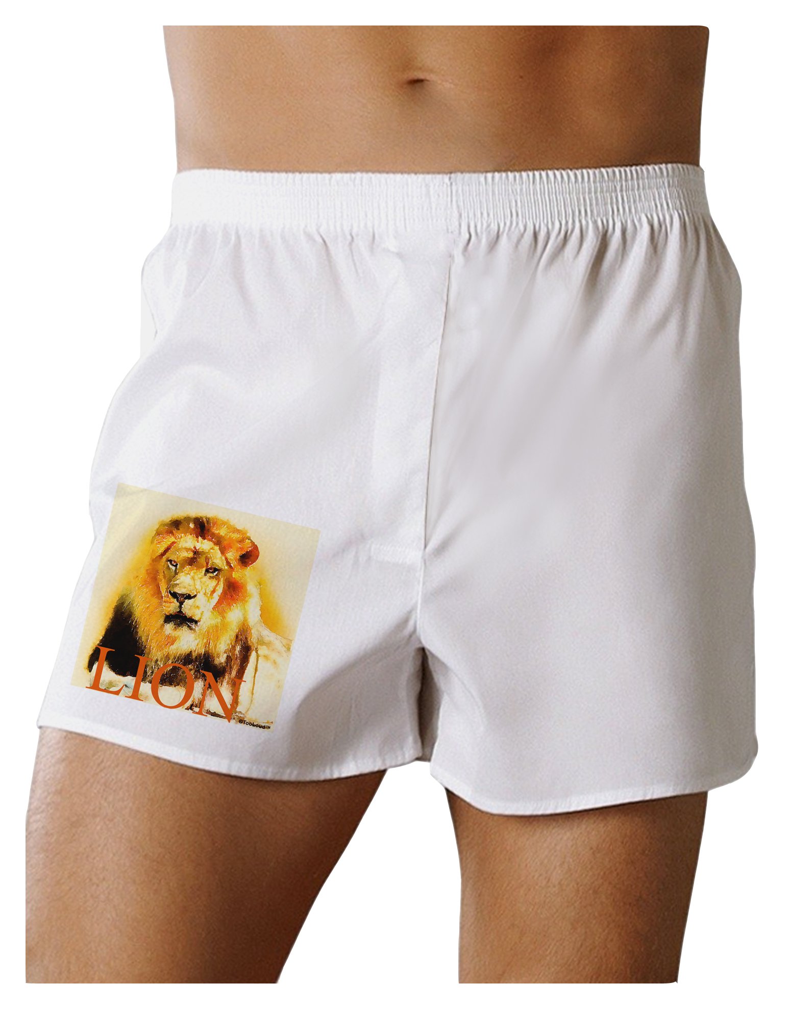 TOOLOUD Lion Watercolor Boxer Shorts for Men - 4 Pack Comfortable Cotton Underwear - Perfect for Gym, Sleep & Everyday Wear