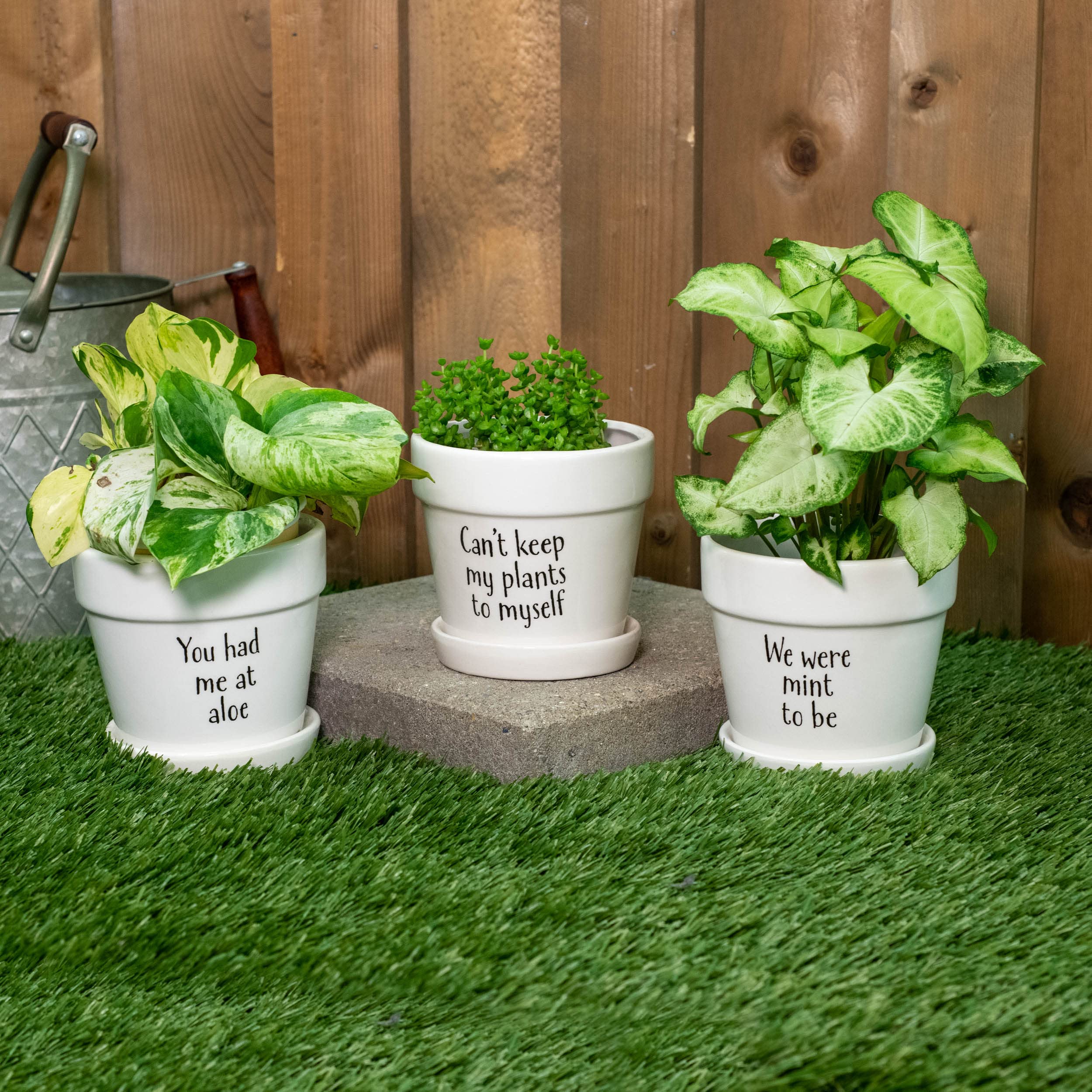 3-Pack White Ceramic Plant Pots with Saucers - 4
