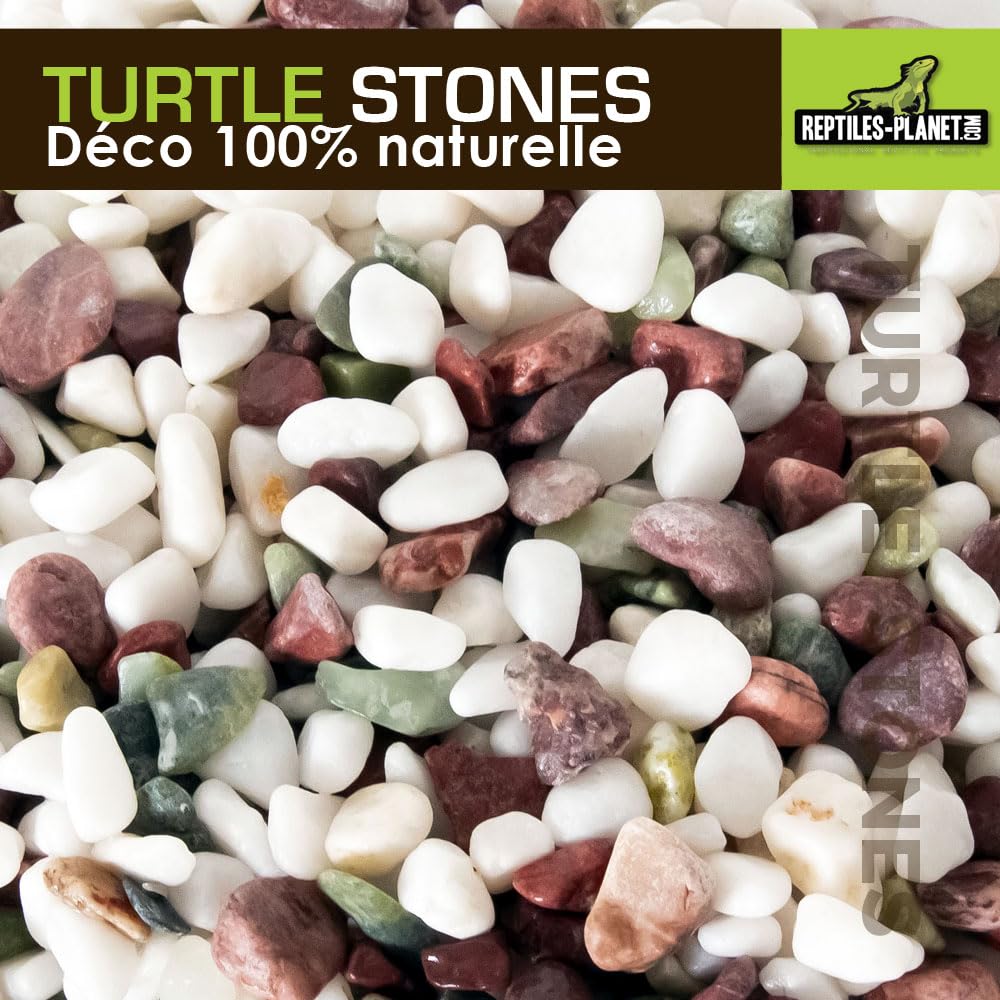 Natural Turtle Stones for Aquarium & Terrarium - 4.5kg (10 lbs) Decorative Rocks for Reptile Tanks, Fish Tanks, and Aquatic Habitats - Perfect for Basking, Hiding, and Decorating
