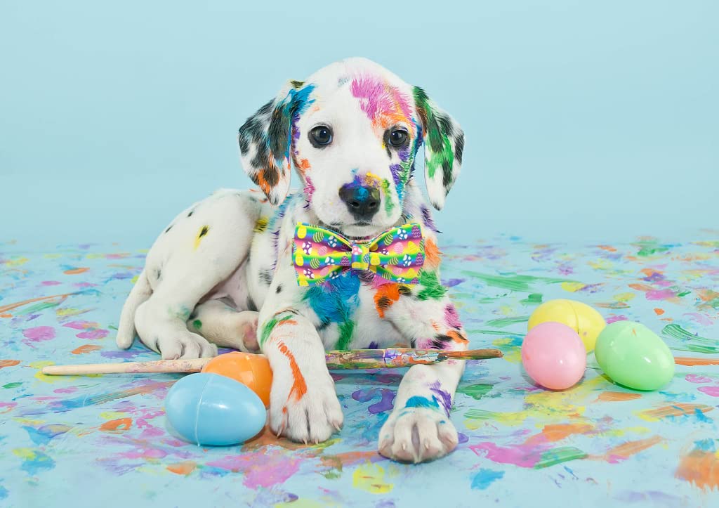 Elegant Small Dog Collar with Bow Tie - Cute Easter Pet Accessory for X-Small Puppies | Perfect for Holidays, Parties & Photo Shoots