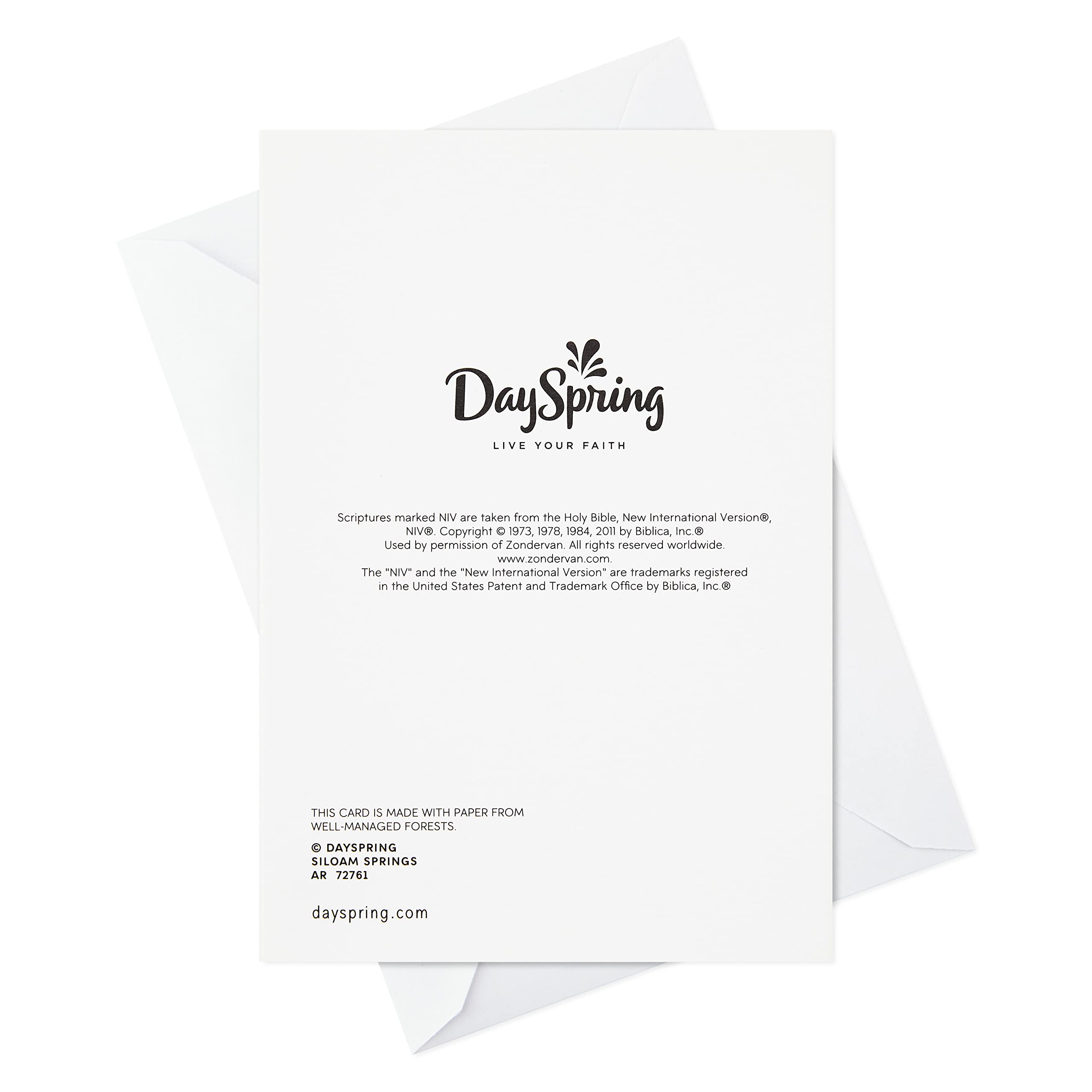 Religious Easter Cards by DaySpring - Pack of 8 Inspirational Greeting Cards with Envelopes for Easter Celebrations, Church Events & Family Gatherings