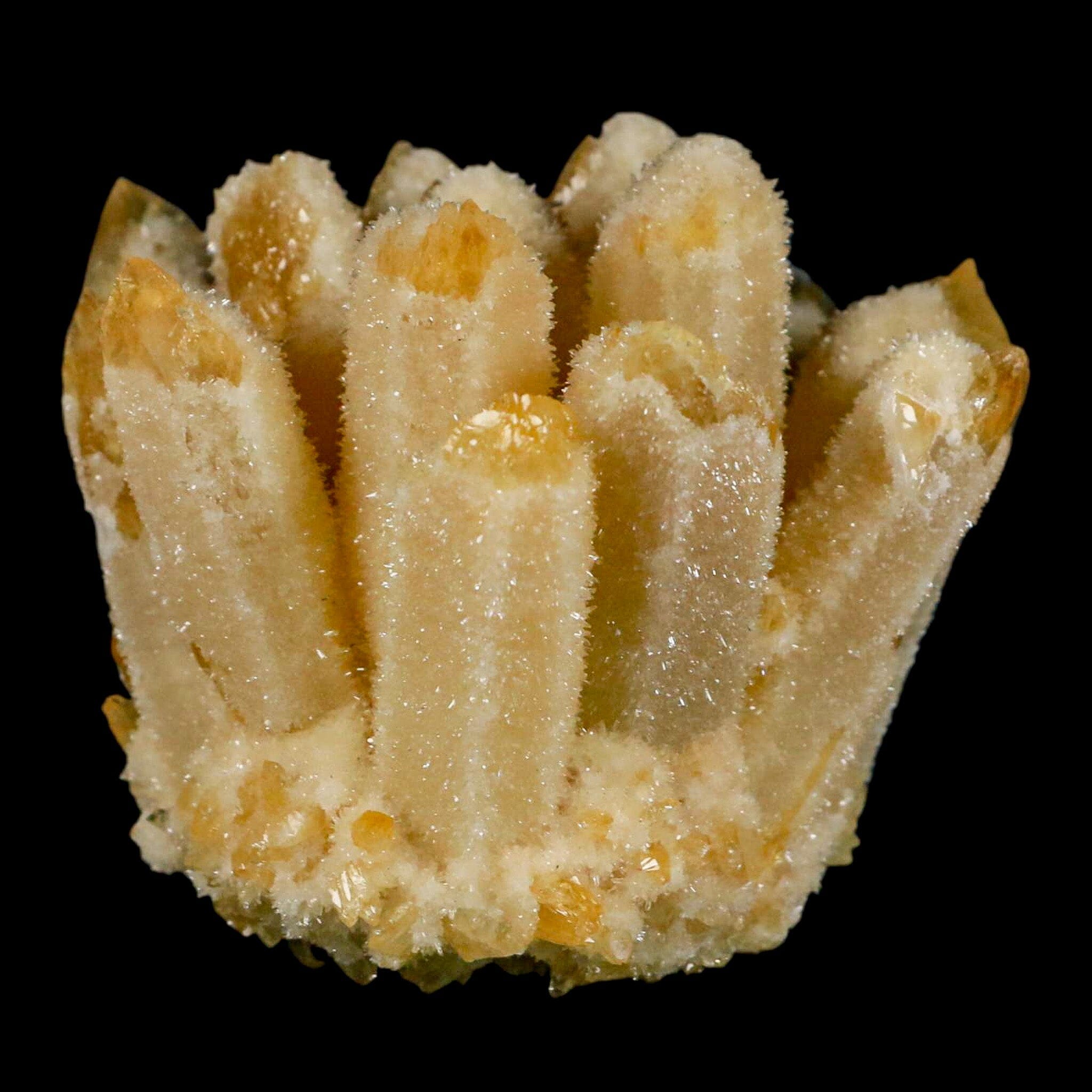 Natural Yellow Phantom Ghost Quartz Crystal with Chlorite Inclusions - Rare Mineral Specimen for Collectors & Healing - Perfect for Meditation, Reiki, and Home Decor