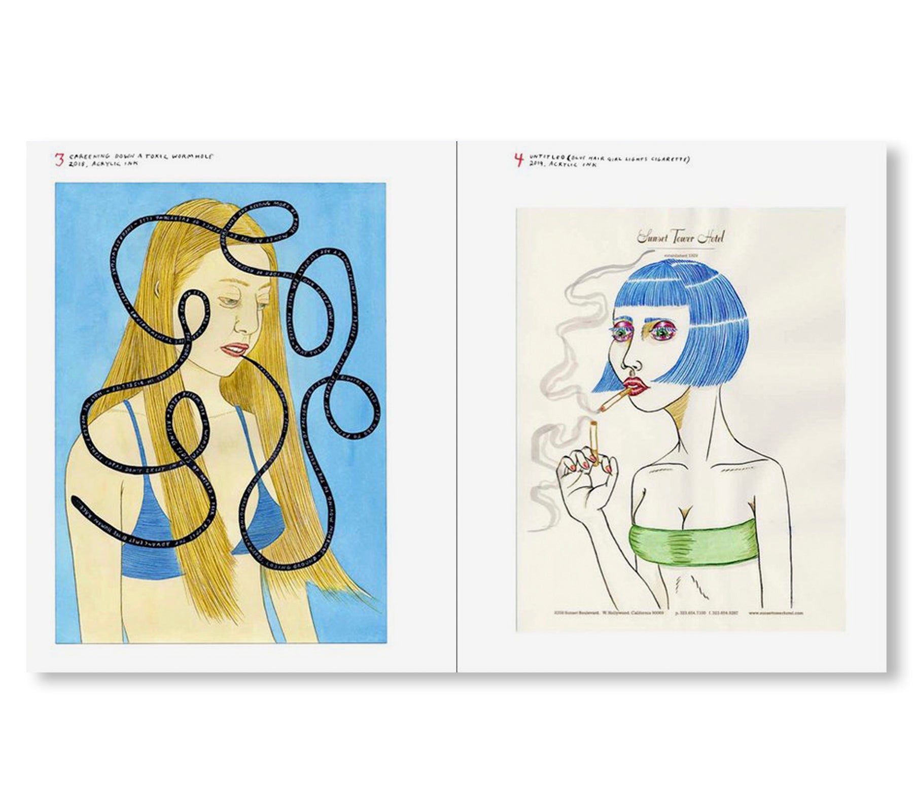 Ed Templeton Deluxe Edition Art Book - 87 Drawings Collection | Perfect for Skateboard Enthusiasts & Contemporary Art Lovers