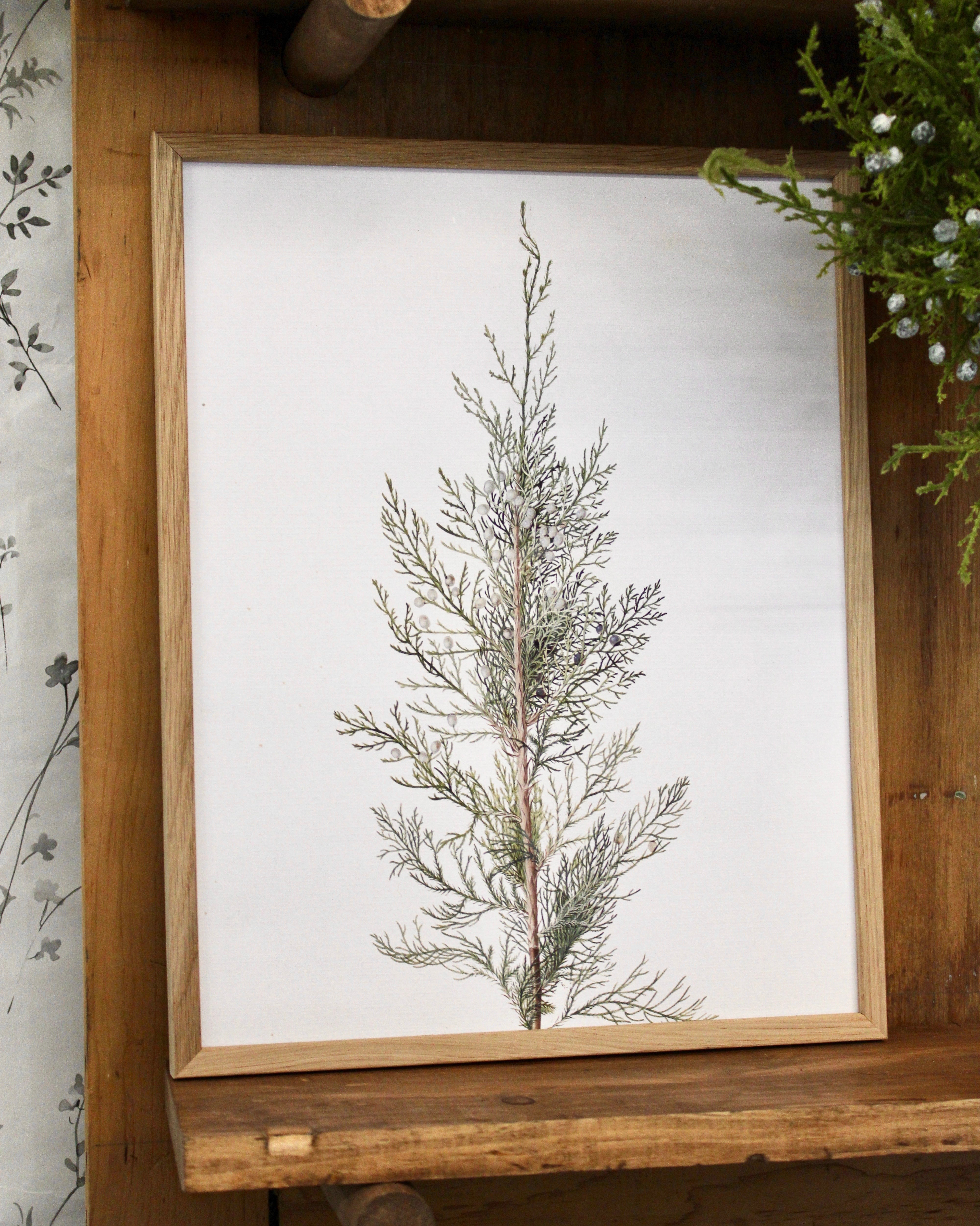 Framed Juniper Print Wall Art - Botanical Decor for Living Room, Bedroom & Office - Nature-Inspired Home Decor