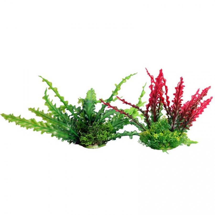 Aqua One Ecoscape Medium Ruffled Lace Red Planter - Elegant Flower Pot for Indoor Plants, Home Decor, Office Desk, and Garden Display