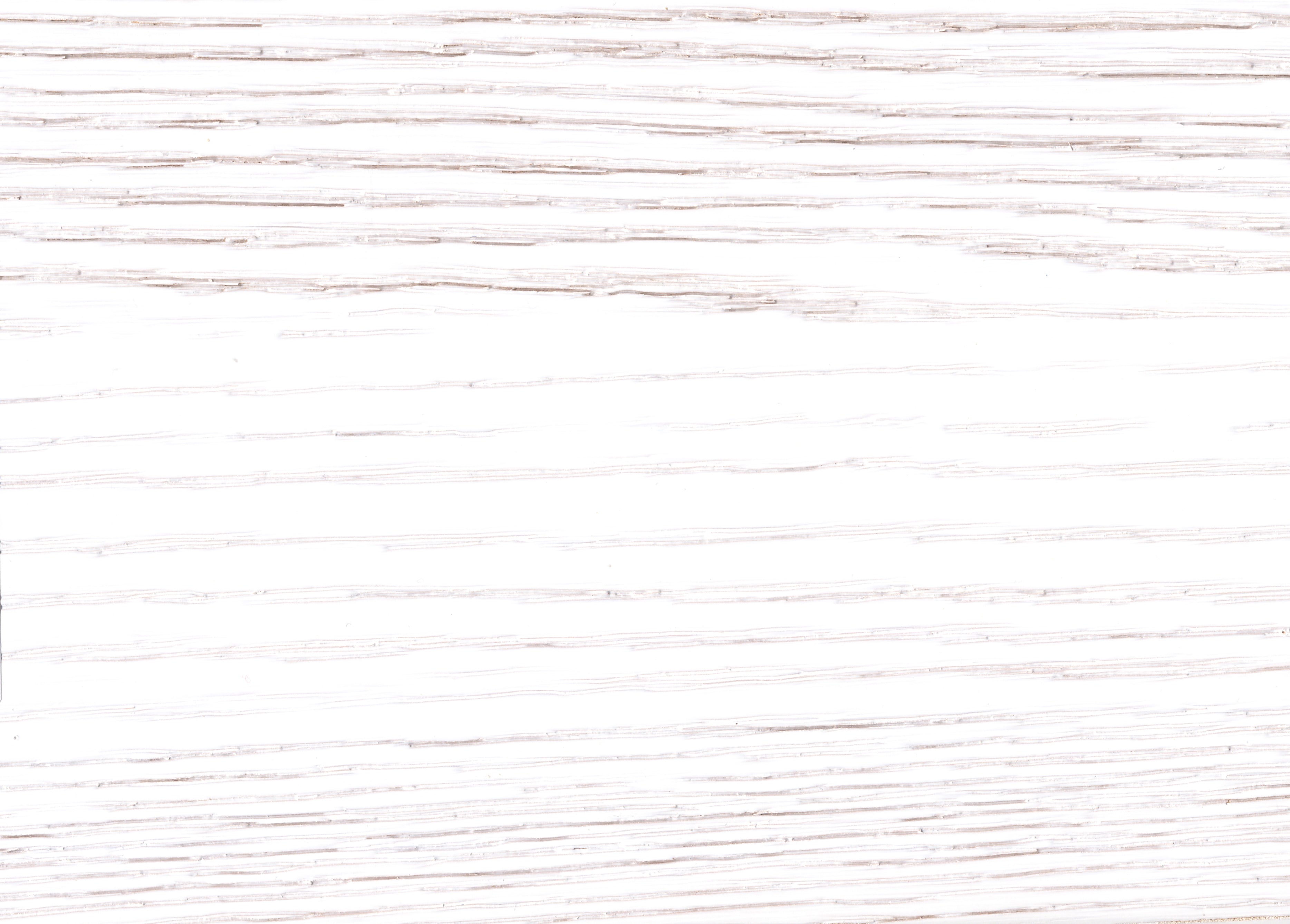 White Paint -Premium