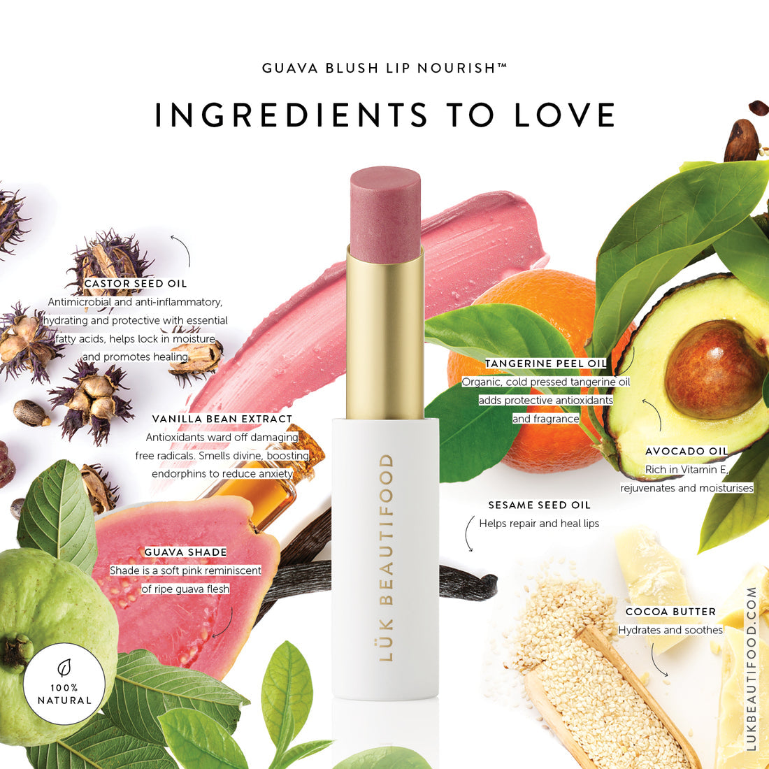 Lip Nourish™ Guava Blush - Hydrating & Plumping Lip Balm for Soft, Kissable Lips | Perfect for Daily Moisture & Night Care
