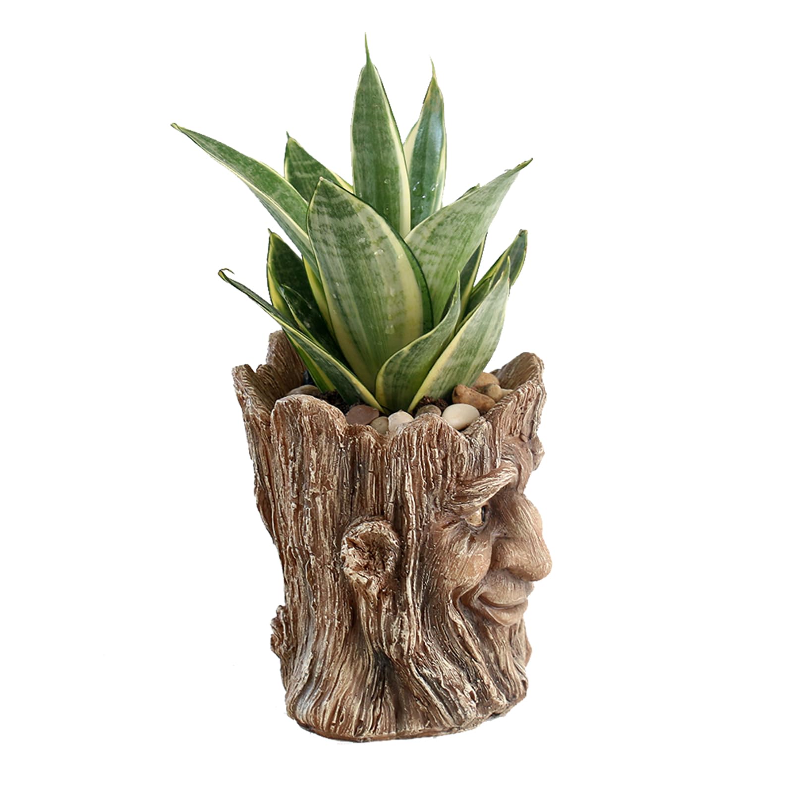 Funny Smiling Face Resin Planter Pot with Drainage Hole - Succulent Plant Holder, Pencil Cup & Desk Organizer for Office, Home Decor & Garden Gifts - Perfect for Indoor Plants, Workspace Organization & Unique Gift Giving