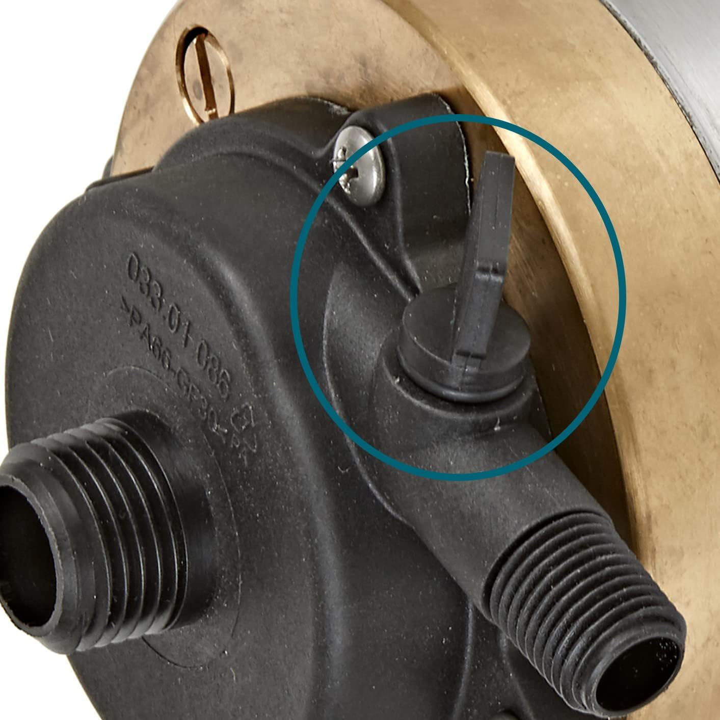 Little Giant S320PT-20 115V Oil-Free Stainless Steel & Bronze Water Pump - 335 GPH for Ponds, Fountains, Aquariums | Fresh & Saltwater Use | Durable Direct Drive Design (Model 517100001) - Perfect for Garden Water Features, Koi Ponds & Decorative Fountains