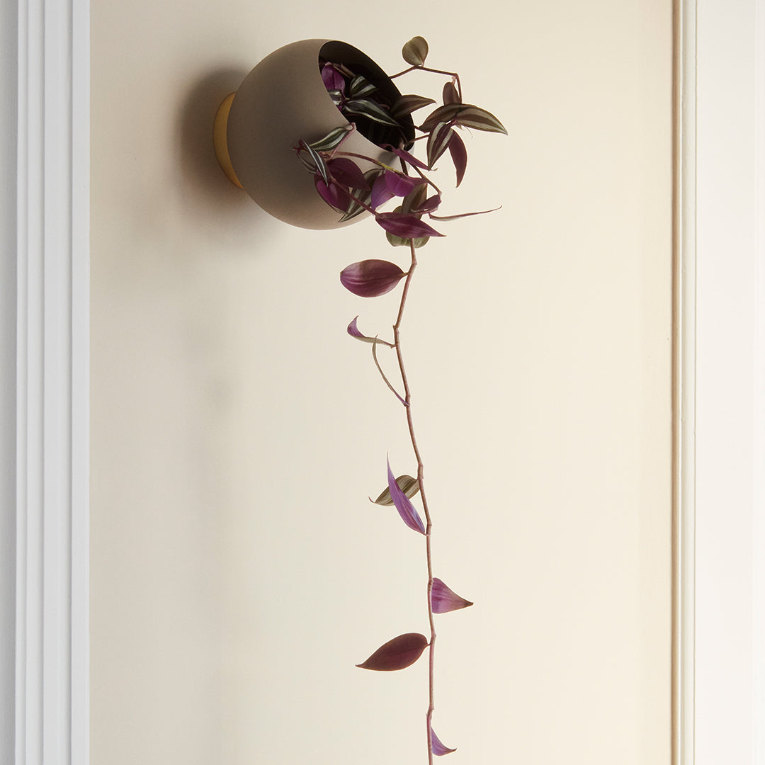 Globe Wall Flower Pot Set of 4 - Small Hanging Planters for Indoor/Outdoor Decor - Perfect for Balcony, Garden & Home Decor
