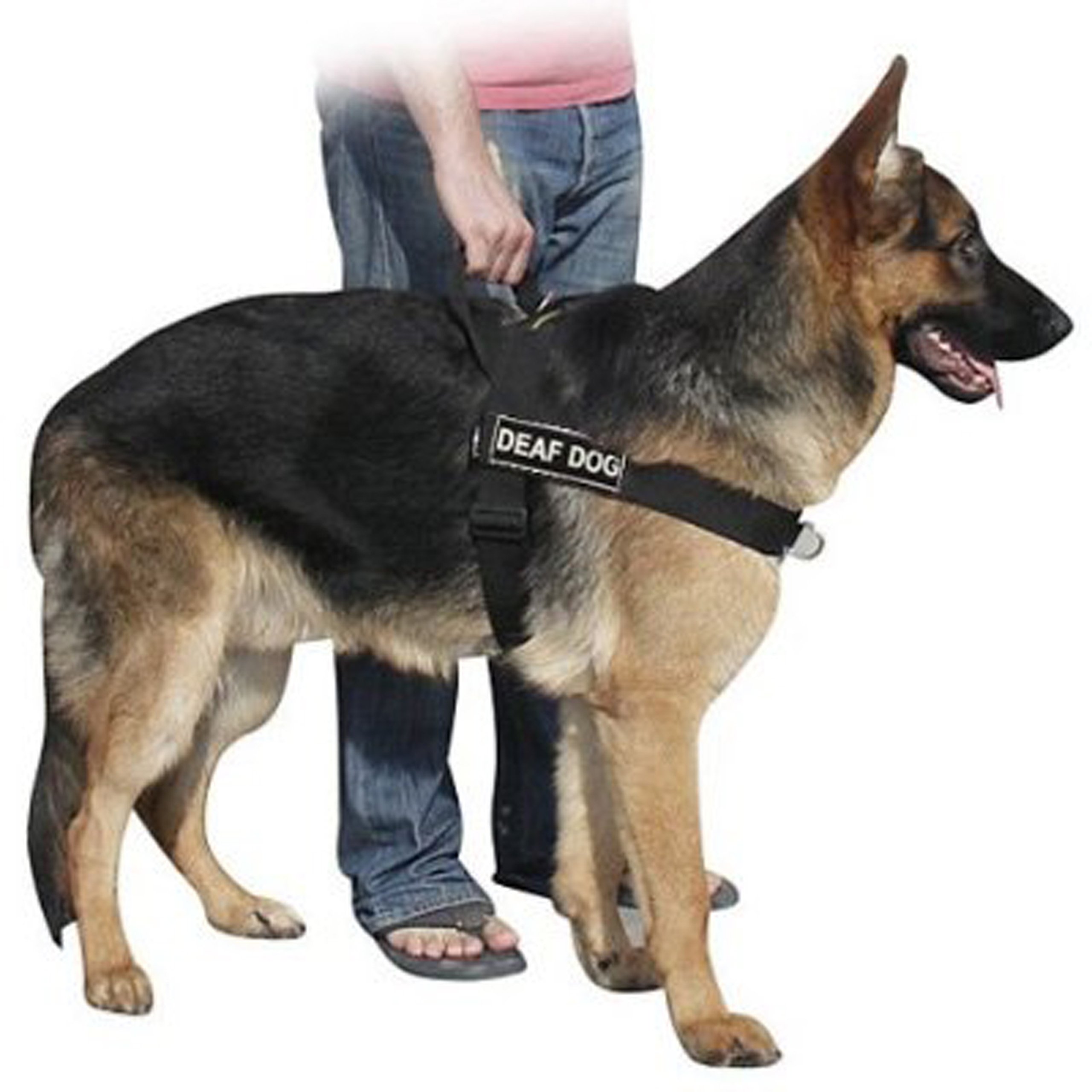 Dean & Tyler DT Universal No Pull Dog Harness for Deaf Dogs - Adjustable X-Small (Girth 53cm-64cm) - Black - Perfect for Training, Walking & Outdoor Adventures