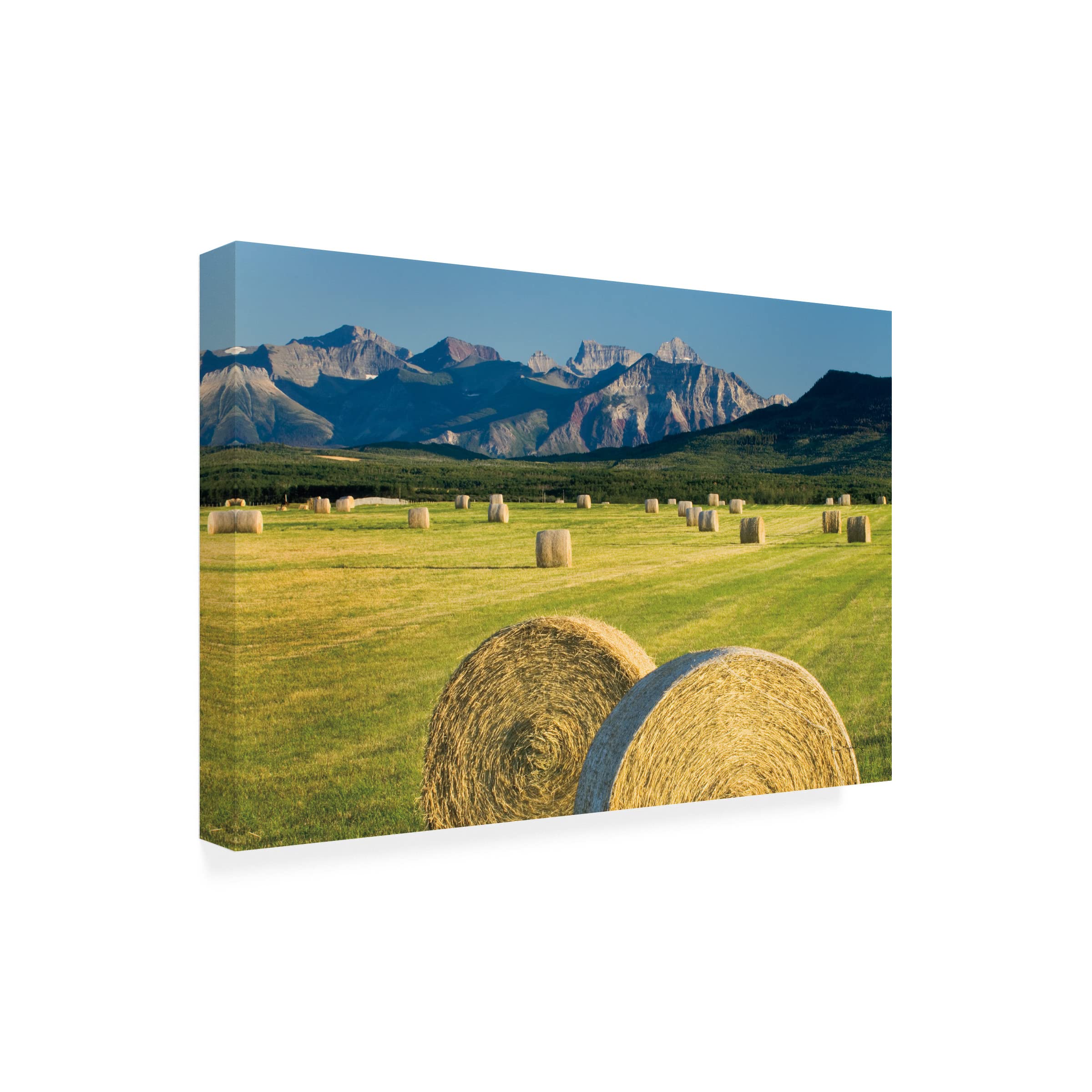 Trademark Fine Art 'Waterton Hay Bales' Canvas Wall Art Print by Alan Majchrowicz - Farmhouse Landscape Painting for Living Room, Bedroom & Office Decor