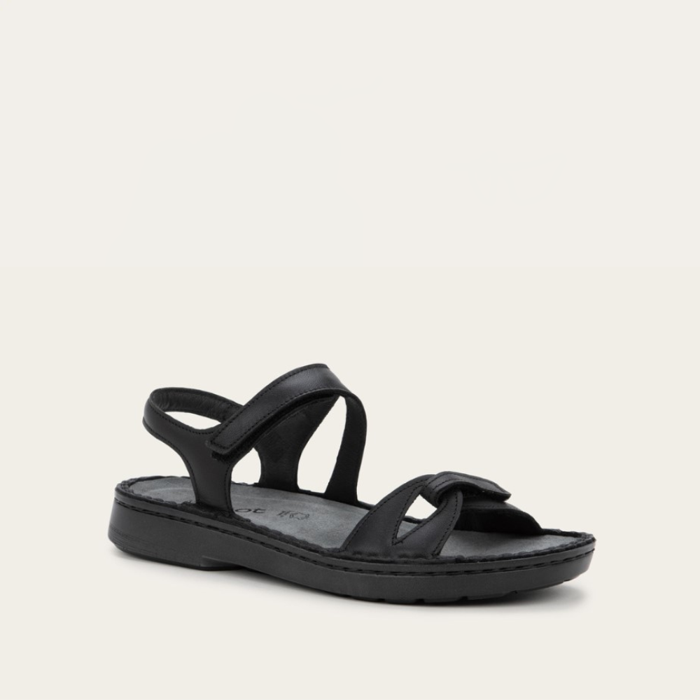 Evora 277 - Premium Quality [Product Category] for [Target Audience] | Durable & Stylish Design | Perfect for [Use Case 1], [Use Case 2] and [Use Case 3] | Fast Shipping in USA