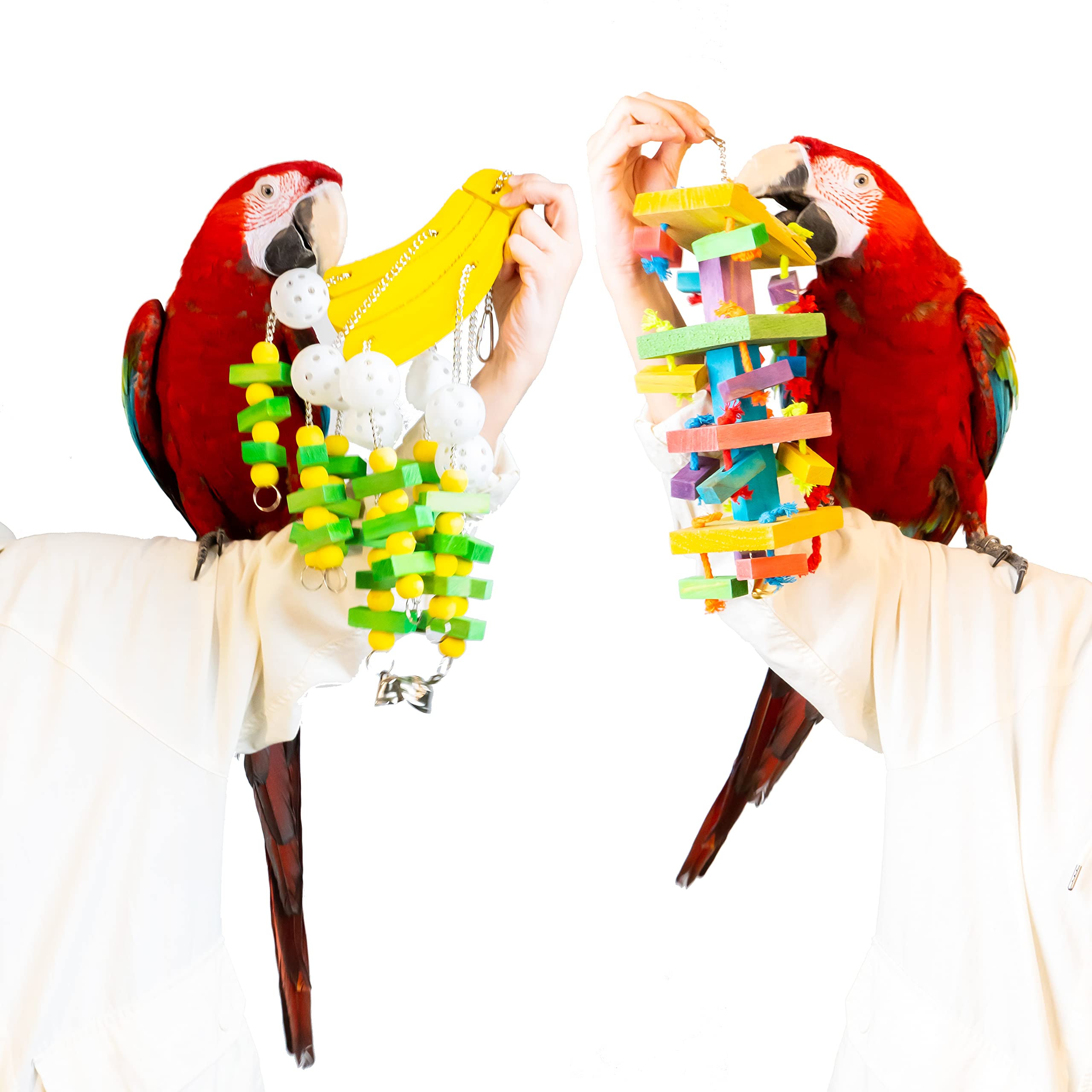 SunGrow Wooden Bird Chewing Toys Set - 2 Pack Natural Wood Parrot Toys for Cockatiels, Conures & Parakeets | Safe Chew Treat for Large Birds with Cuttlebone | Perfect for Cage Enrichment & Beak Trimming