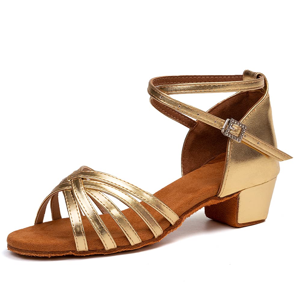 Hipposeus Girls Latin Dance Shoes - Low Heel Satin Ballroom Salsa Shoes for Practice & Performance (2023 Model) | Perfect for Dance Classes, Competitions & Stage Shows
