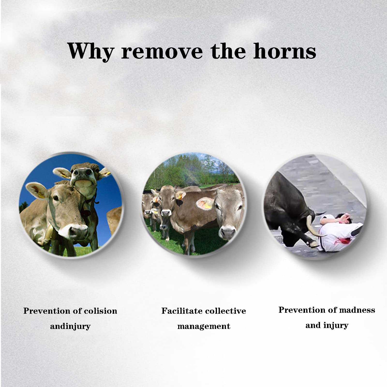 Electric Cattle Dehorner - High Temperature Resistant & Bloodless Cow Dehorning Tool for Livestock Farming | Perfect for Dairy Farms, Cattle Ranches & Veterinary Use