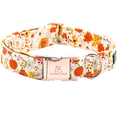 A:pumpkin and flower