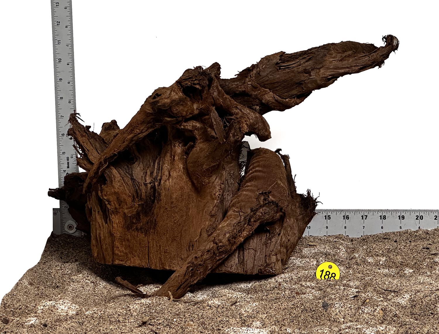 Premium Malaysian Mangrove Wood Logs - Large Size (18