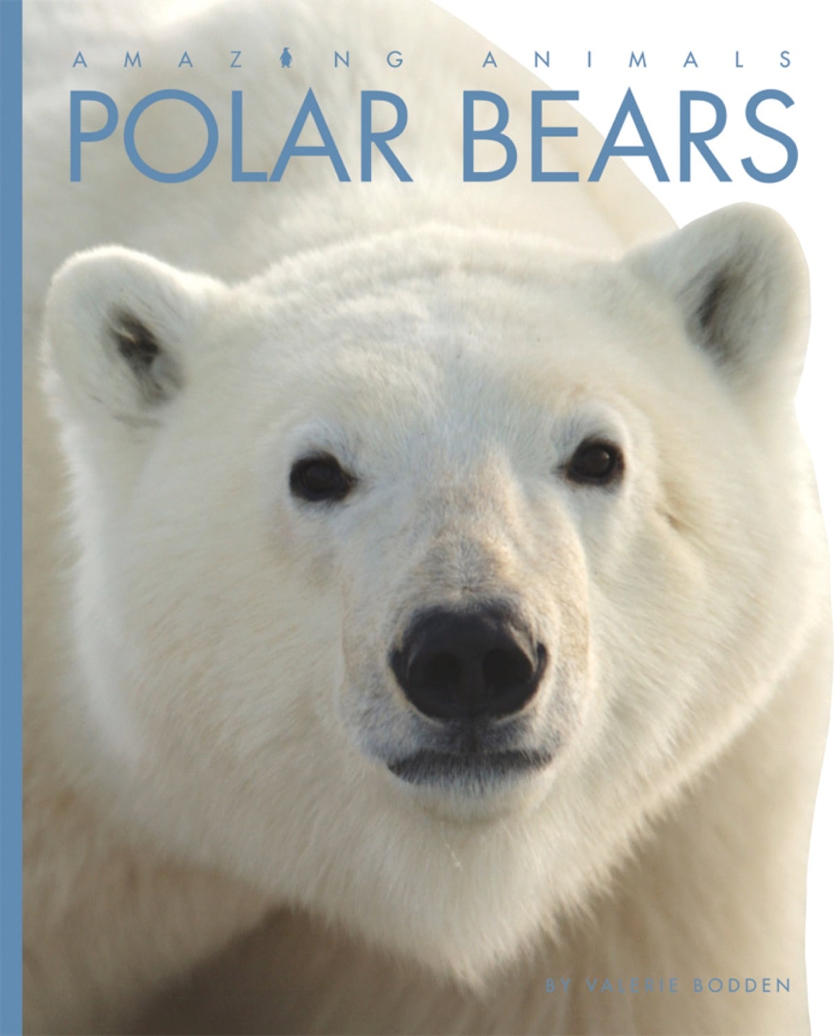 Amazing Animals (2014): Polar Bears - Wildlife Documentary Film | Explore Arctic Wildlife & Polar Bear Habitats | Perfect for Nature Lovers & Educational Use