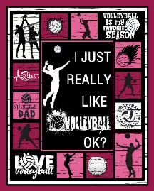 I Just Really Like Volleyball