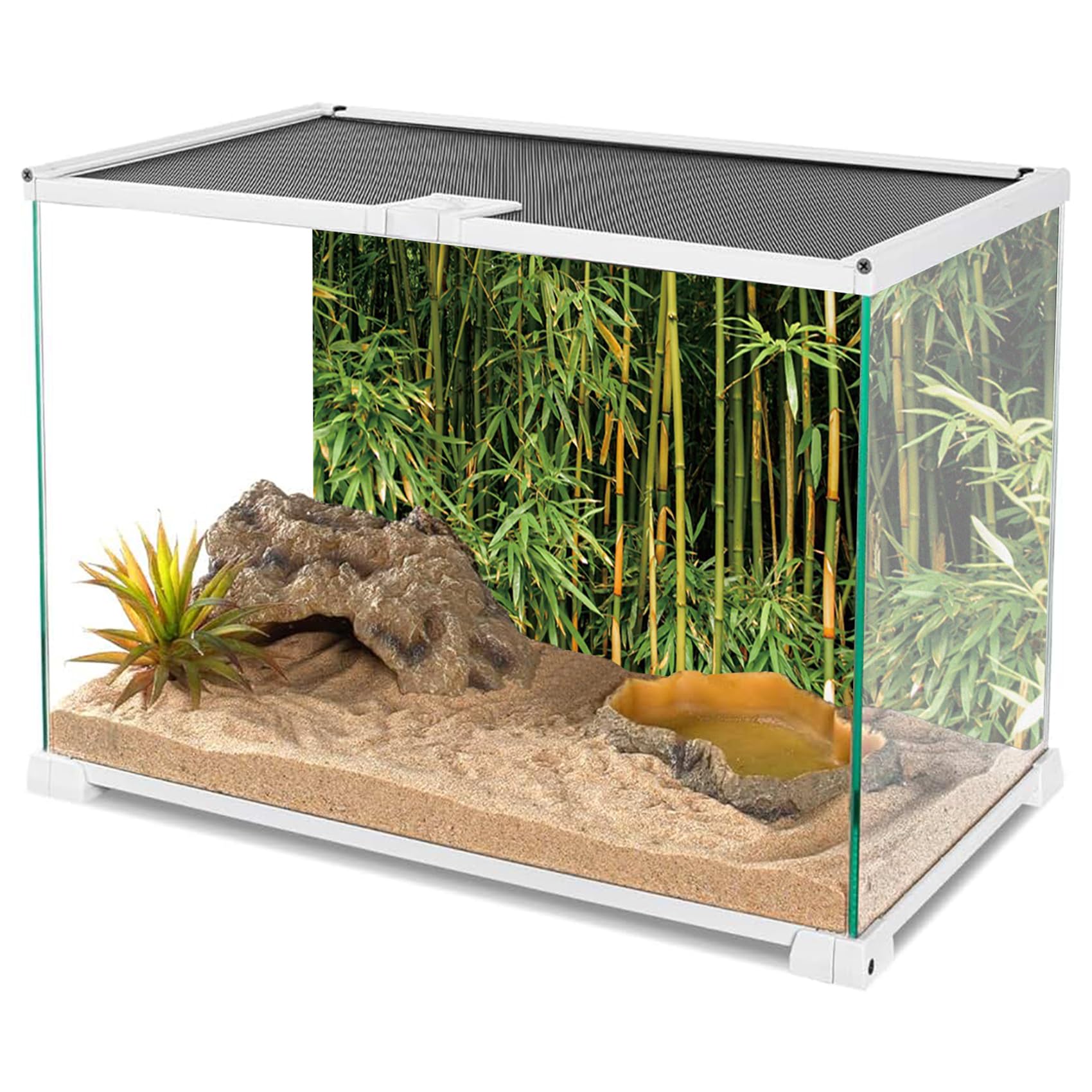 YongFoto 48x18 Inch Reptile Terrarium Background - Bamboo Forest Nature Scenery for Bearded Dragon Habitat, Fish Tank & Aquarium Backdrop | Perfect for Reptile Enclosures, Vivariums and Aquatic Displays