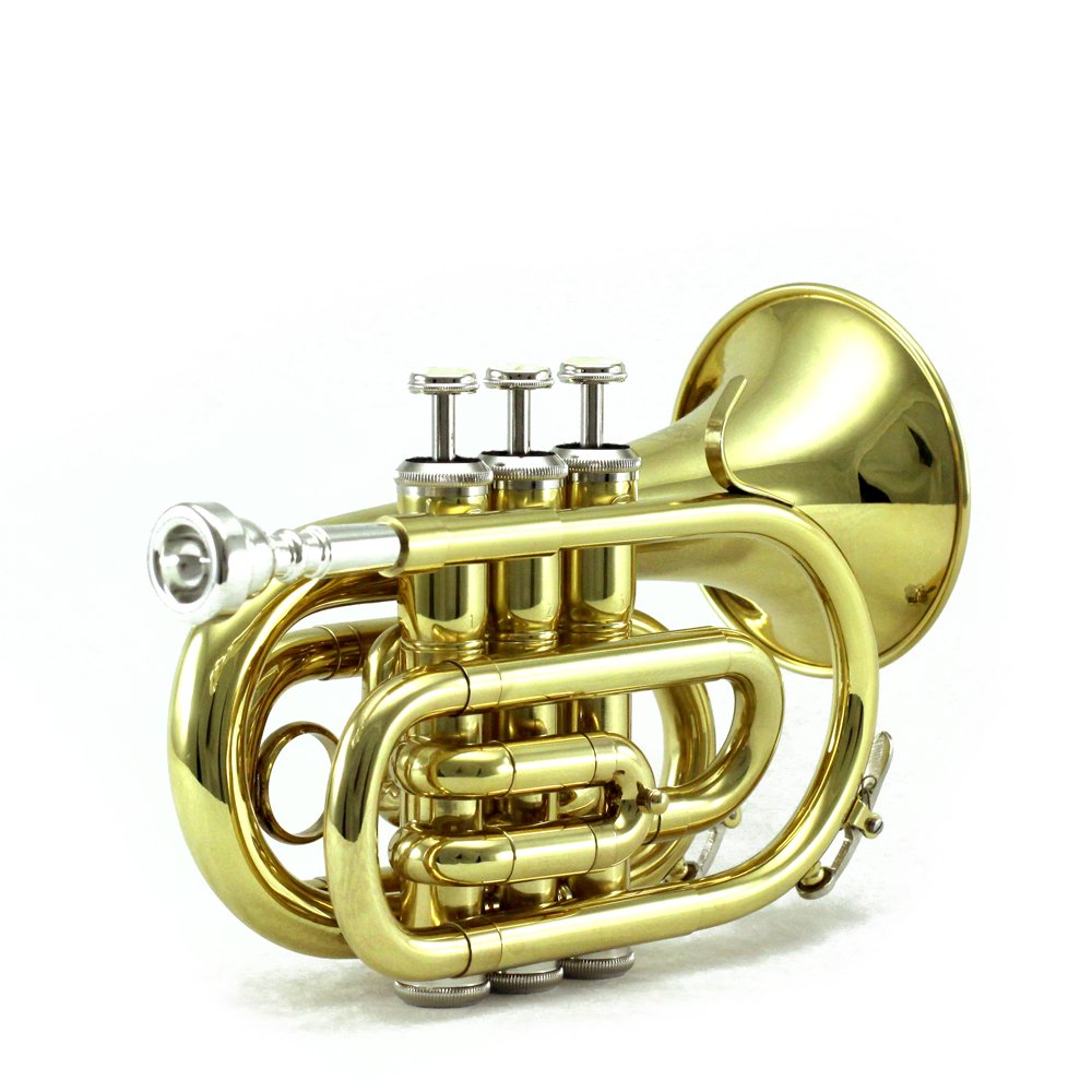 Professional Gold Plated Brass Bb Pocket Trumpet with Case - Sky Band Approved for Superior Sound Quality | Includes Cleaning Cloth, Gloves & Valve Oil | Perfect for Beginners, Students & Travel Musicians