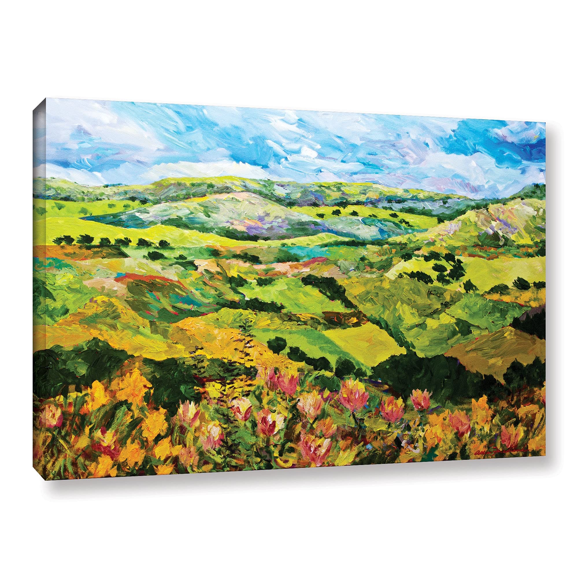 ArtWall Allan Friedlander 'Half Way Home' Gallery-Wrapped Canvas Print 16x24 - Modern Wall Art for Living Room, Bedroom & Office Decor