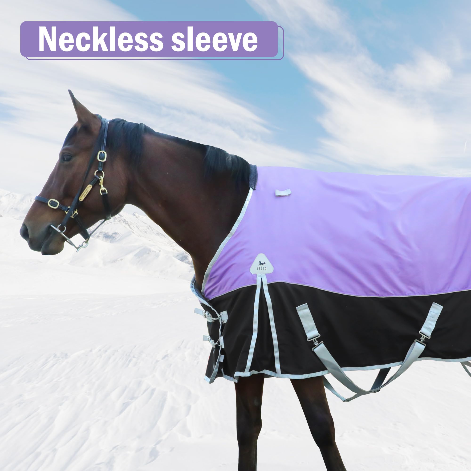 400g Warm Waterproof Horse Turnout Blanket - Winter Waterproof Horse Blanket with Cotton Filling Liner | 1600D Premium Medium Weight (78in/145cm) for Stable & Outdoor Riding