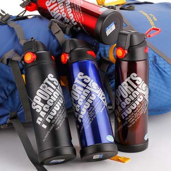 Delavala Double Wall Vacuum Insulated Steel Water Bottle - 800ml, Keep Hot & Cold, Perfect for Outdoor, Gym & Office Use