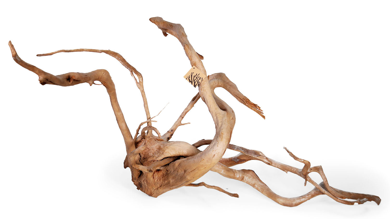 Natural Spider Wood for Aquarium Decor - Unique Driftwood for Fish Tanks, Terrariums & Reptile Habitats - Perfect for Aquascaping, Shrimp Tanks & Natural Habitat Setups