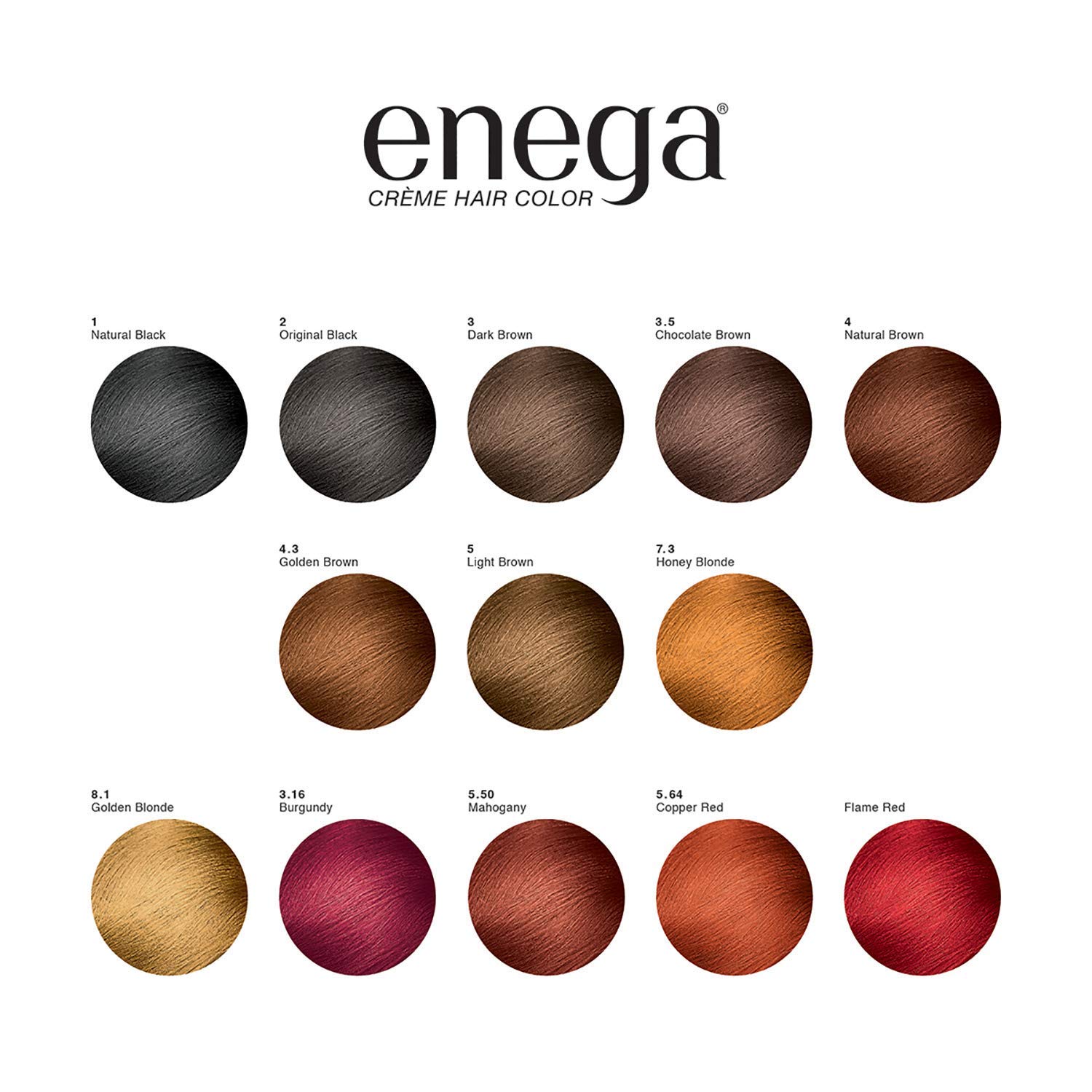 Enega Ammonia-Free Long Lasting Gray Coverage Hair Color Cream with Argan Oil & Green Tea Extract - 150ml (Golden Blonde) | Pack of 1 | Perfect for At-Home Hair Coloring & Touch-Ups