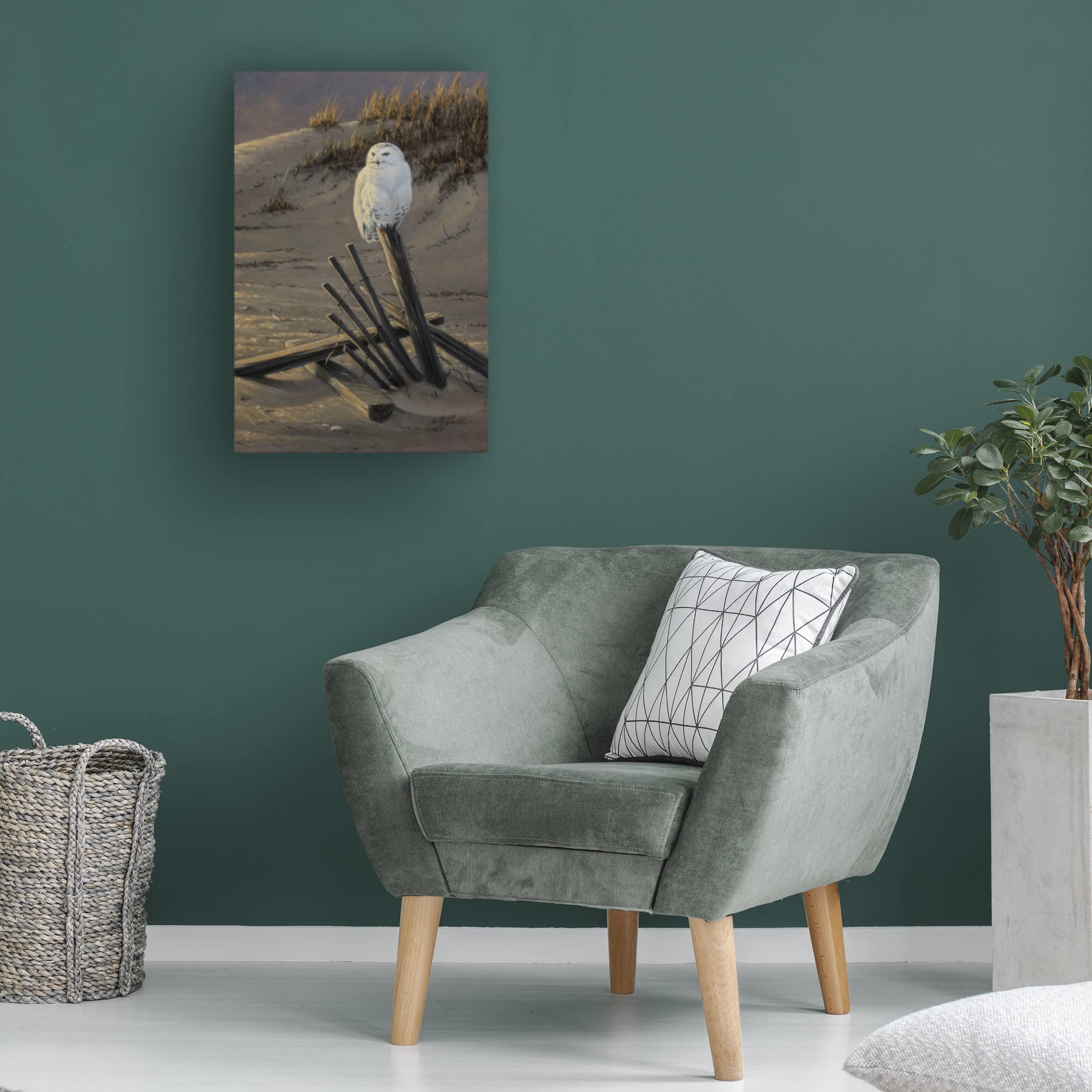 Trademark Fine Art 'Dune Watcher Snowy Owl' Canvas Print by Wilhelm Goebel - Elegant Wildlife Wall Decor for Living Room, Bedroom & Office