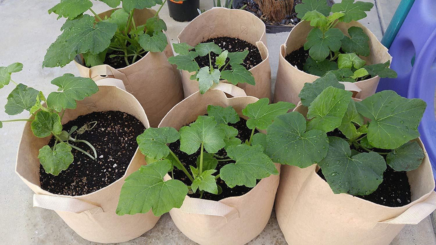 24-Pack 25 Gallon Tan Fabric Grow Bags - Breathable Aeration Pots for Nursery, Garden & Planting | Durable Container for Vegetables, Fruits & Flowers | Perfect for Indoor & Outdoor Gardening