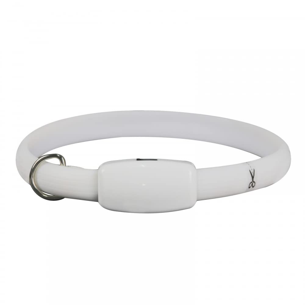 USB Rechargeable LED Dog Collar - Color Changing Light Up Collar with Adjustable Size for Small, Medium & Large Dogs | Night Safety Reflective Collar for Walking, Running & Outdoor Adventures