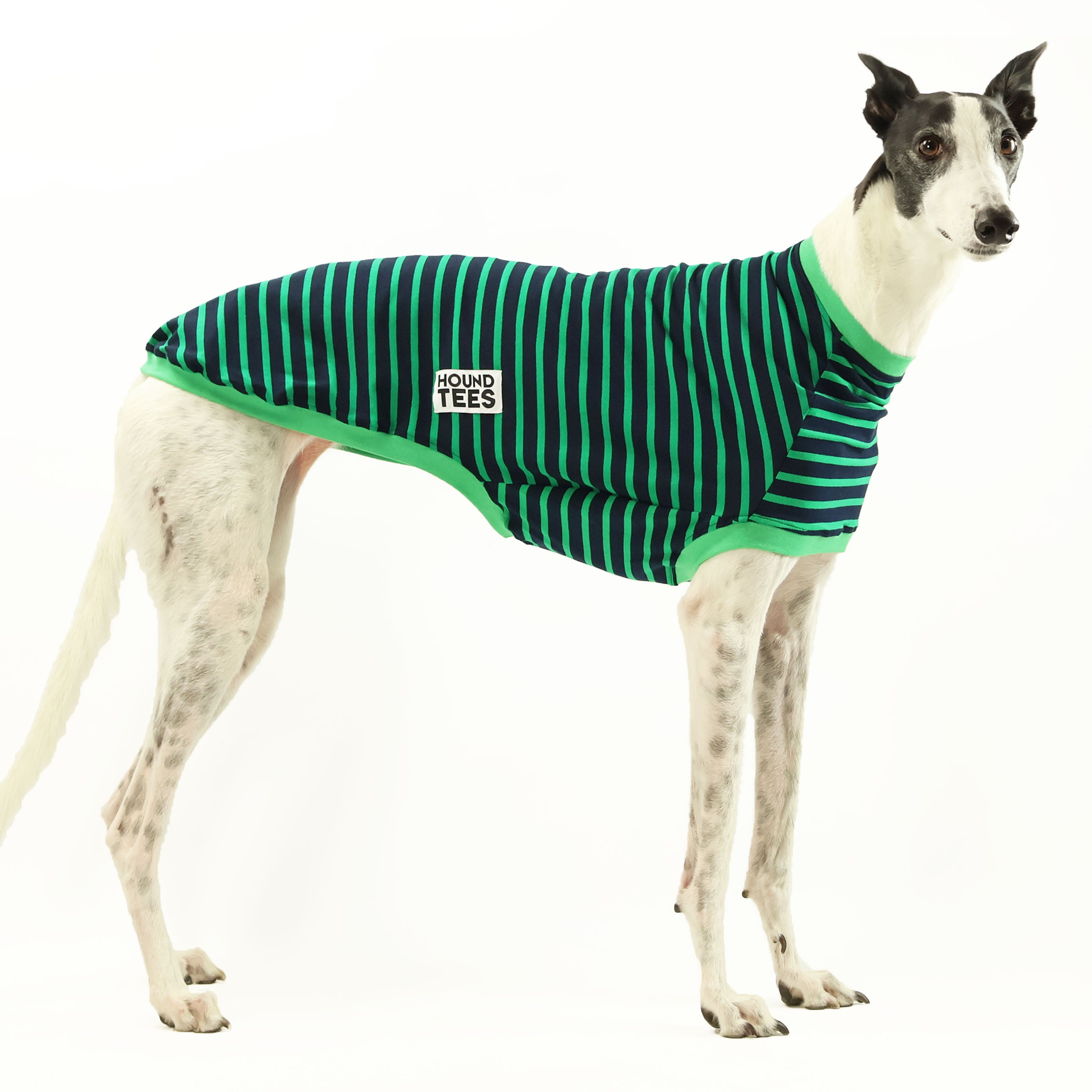 Kermit Greyhound Sleeveless Hound T-Shirt - Comfortable Dog Lover Apparel for Casual Wear & Summer Outfits