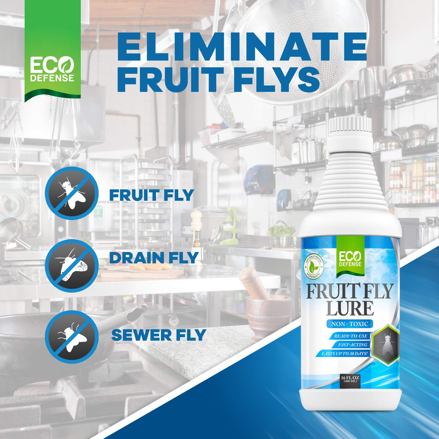 Eco Defense Fruit Fly Killer – Natural Indoor Fly Trap for Kitchen, Bathroom & Restaurants | Drain Fly Killer Treatment | Safe & Effective 16 oz | Ideal for Home, Office & Commercial Use