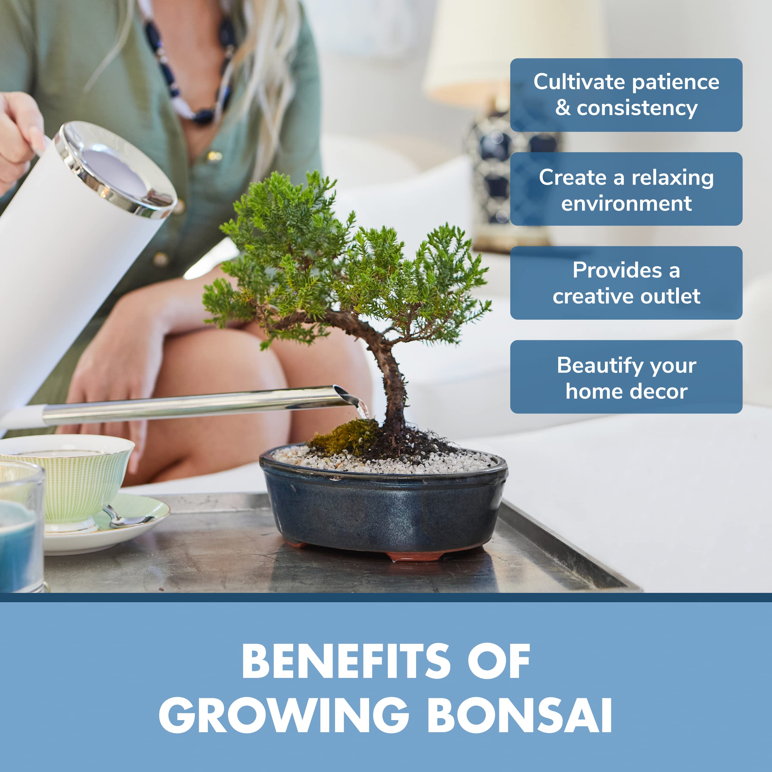 Bonsai Tree Starter Kit - Grow 3 Mini Bonsai Trees Indoors with Seeds, Soil, Pots & Pruning Shears | Complete Gardening Gift Set for Women & Men | Perfect for Home Decor, Office Plants & Relaxing Hobby