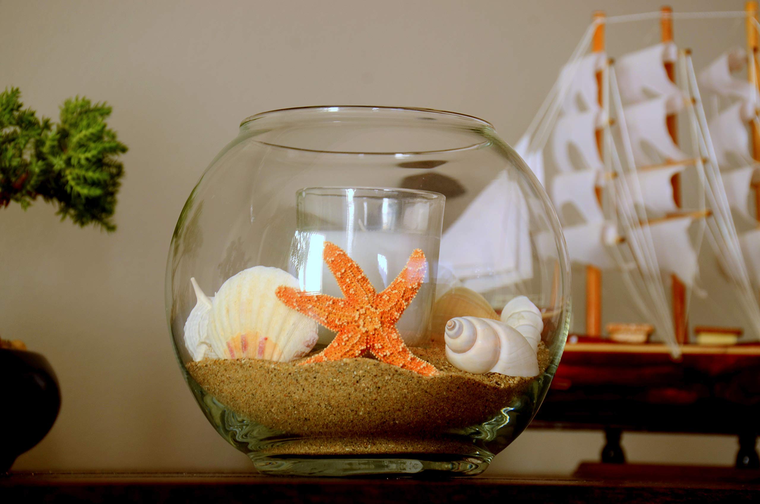 Coastal Beach Wedding Decorations - Nautical Table Centerpieces for Rustic Seaside Ceremonies | Perfect for Wedding Receptions, Bridal Showers & Beach Themed Events