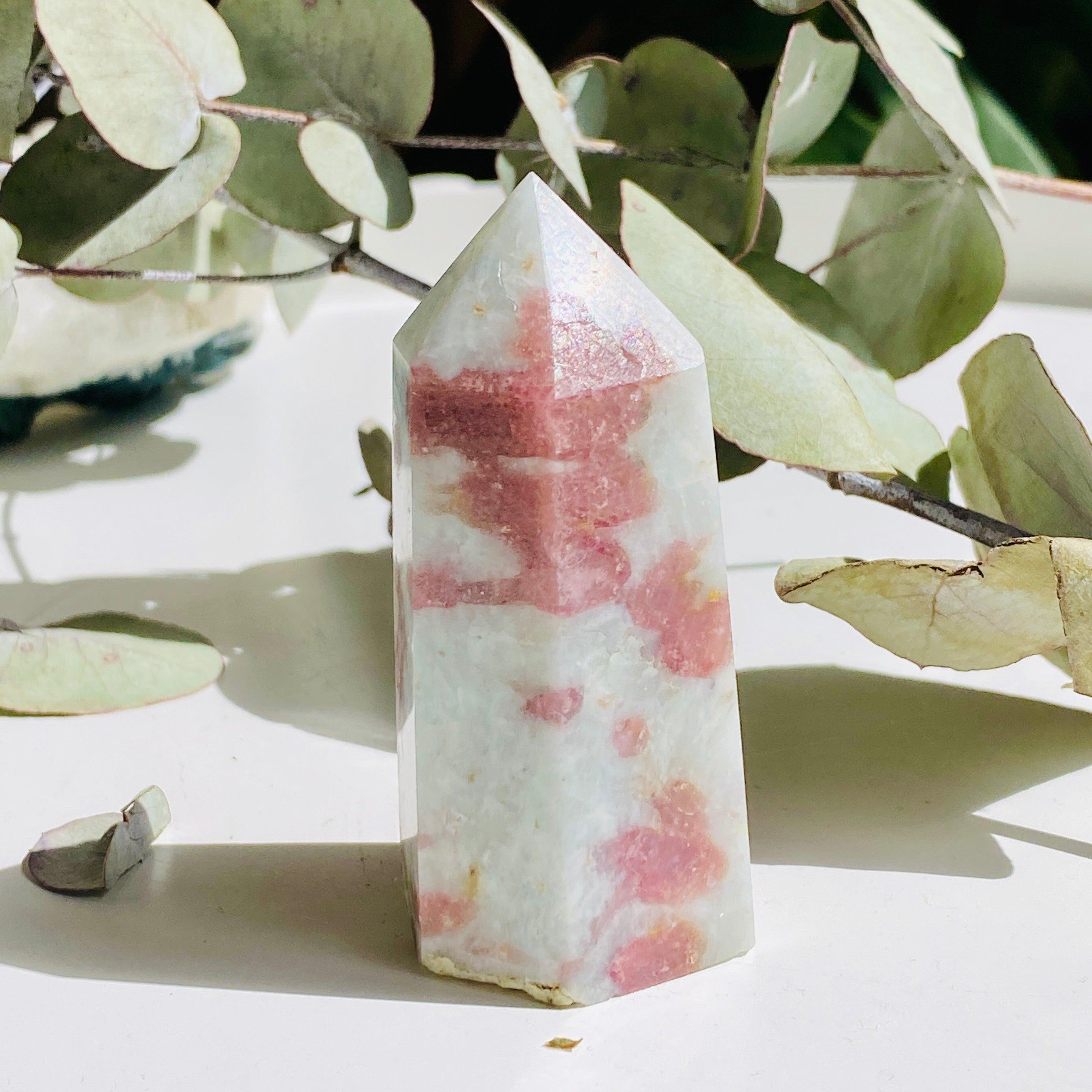 Natural Pink Tourmaline in Schist - Small Point Specimen c1450 | Gemstone Collection, Healing Crystals & Mineral Display for Home Decor