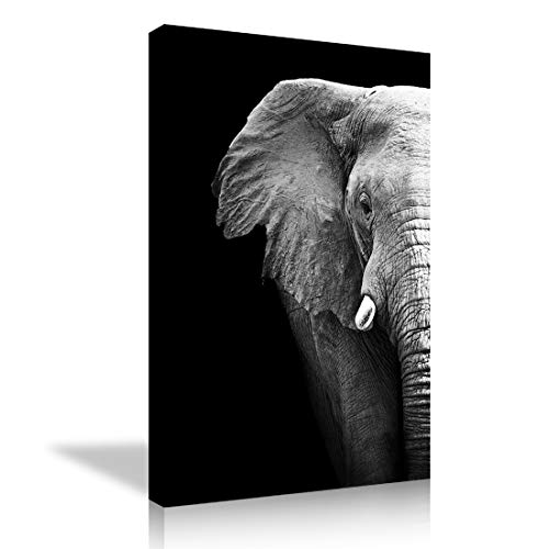Animal wall art 27