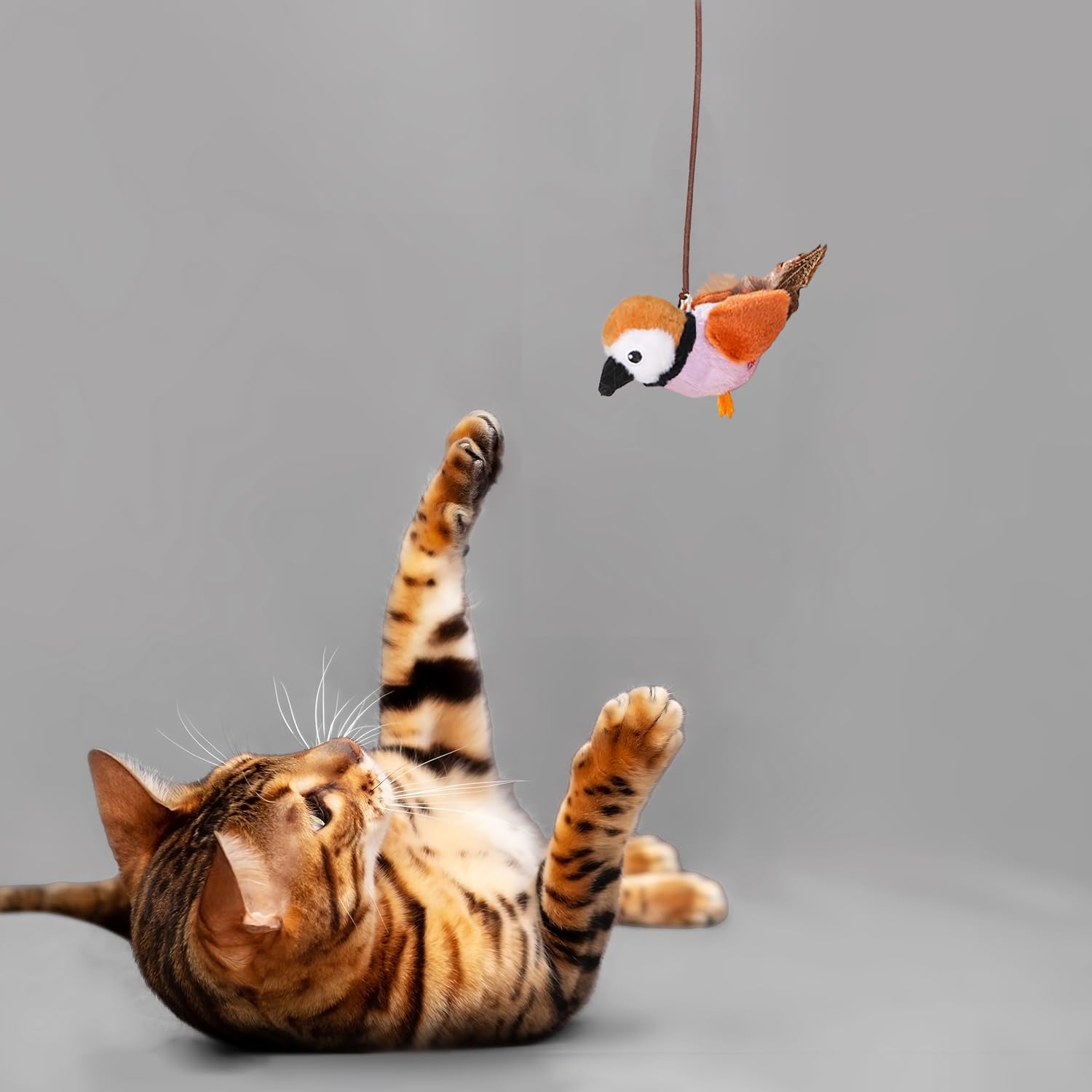 Interactive Chirping Bird Cat Toys with Catnip & Feather - Fun Kitten Toys for Indoor Cats, DIY Cat Wand & Hanging Door Toy - Perfect for Cat Trees & Towers - Playtime & Exercise for Active Felines