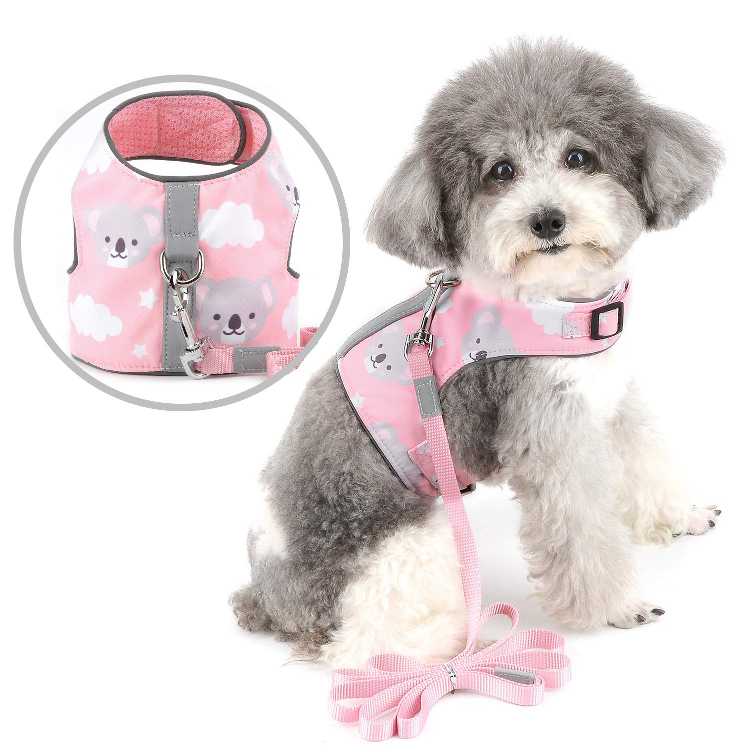 No Pull Dog Harness and Leash Set for Small Dogs - Reflective Puppy Vest with Anti-Lost ID Card - Breathable Mesh Pet Harness for Walking, Jogging & Training - Cute Printed Pink XS for Dogs & Cats